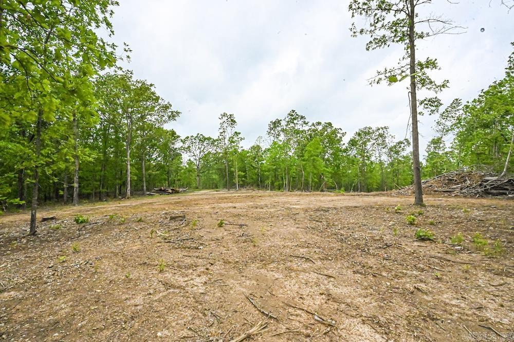 Photo 22 - Vacant Land for sale –   N/A Red Bud Rd   Sturkie, AR