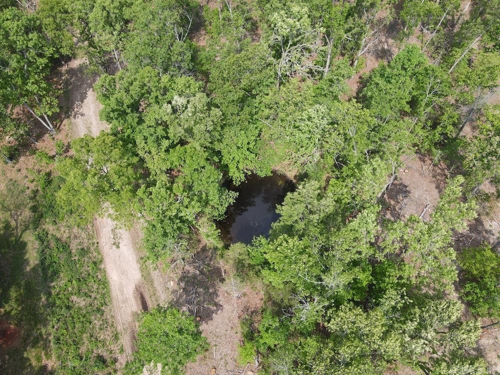 Photo 23 - Vacant Land for sale –   N/A Red Bud Rd   Sturkie, AR