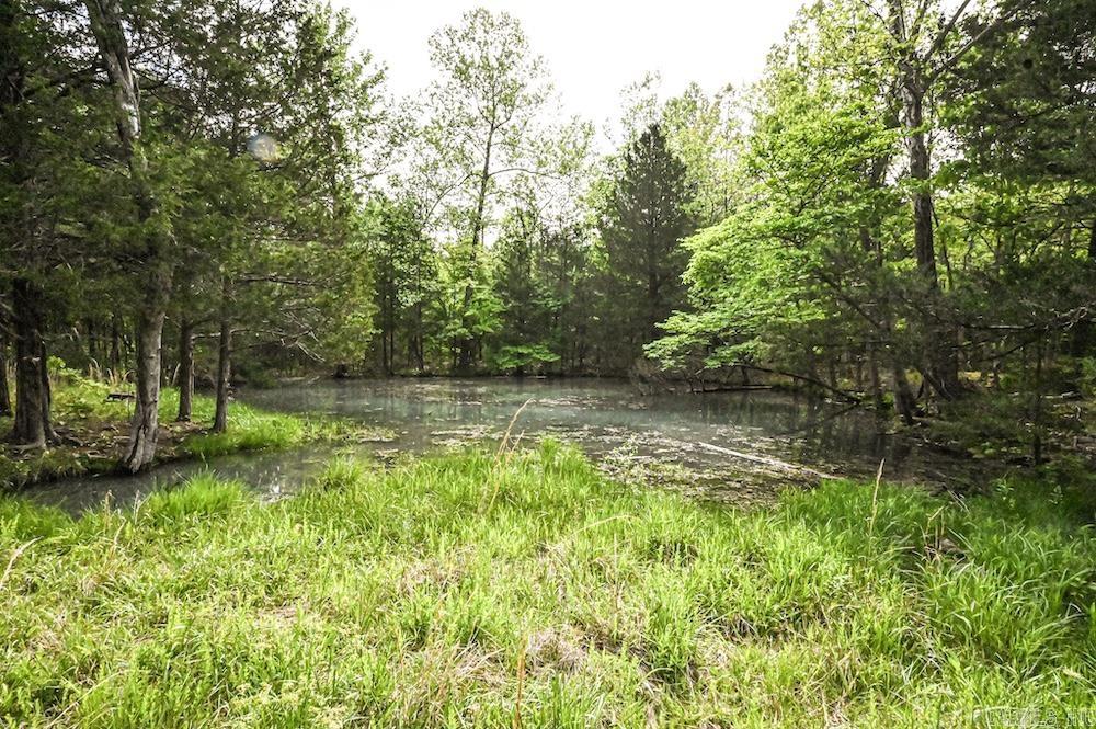 Photo 25 - Vacant Land for sale –   N/A Red Bud Rd   Sturkie, AR