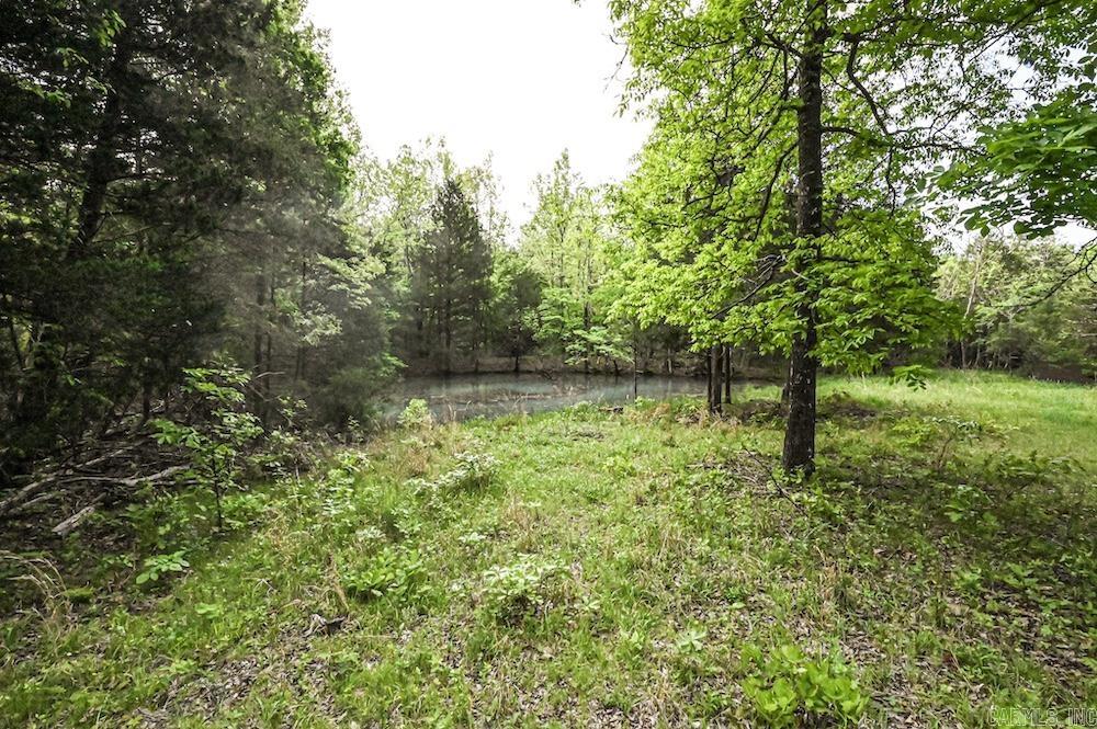 Photo 26 - Vacant Land for sale –   N/A Red Bud Rd   Sturkie, AR