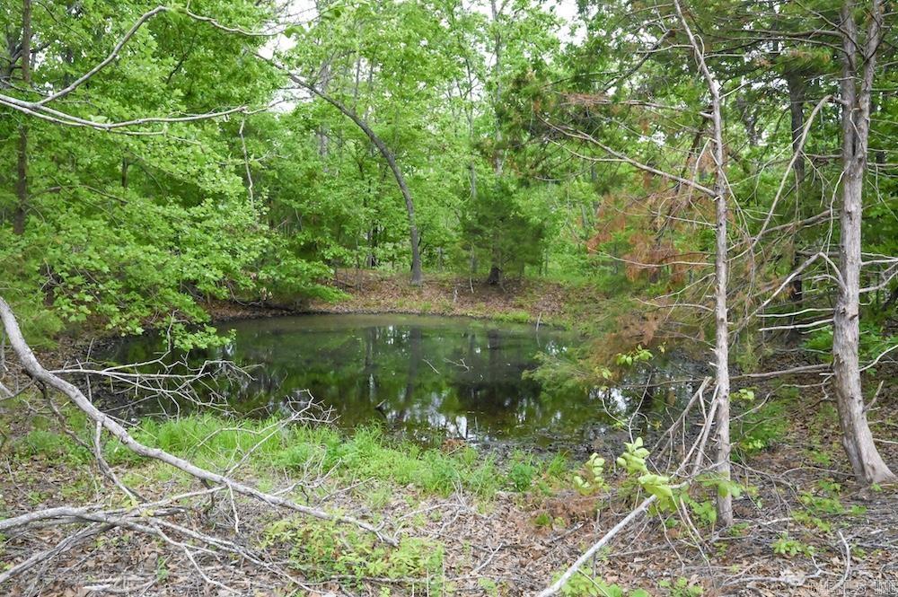Photo 27 - Vacant Land for sale –   N/A Red Bud Rd   Sturkie, AR