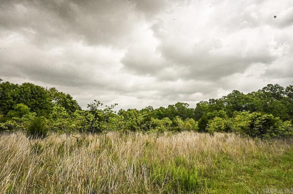 Photo 28 - Vacant Land for sale –   N/A Red Bud Rd   Sturkie, AR
