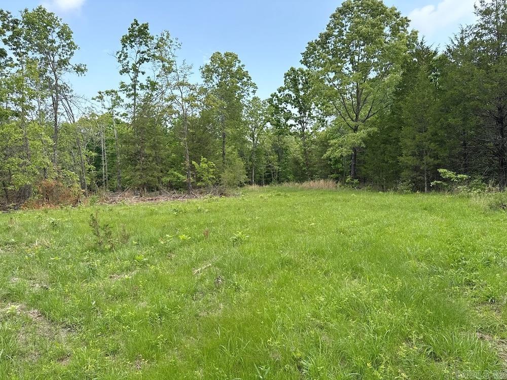 Photo 29 - Vacant Land for sale –   N/A Red Bud Rd   Sturkie, AR