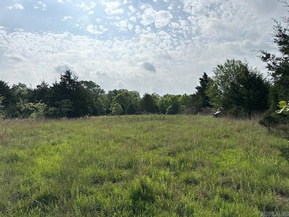 Photo 30 - Vacant Land for sale –   N/A Red Bud Rd   Sturkie, AR