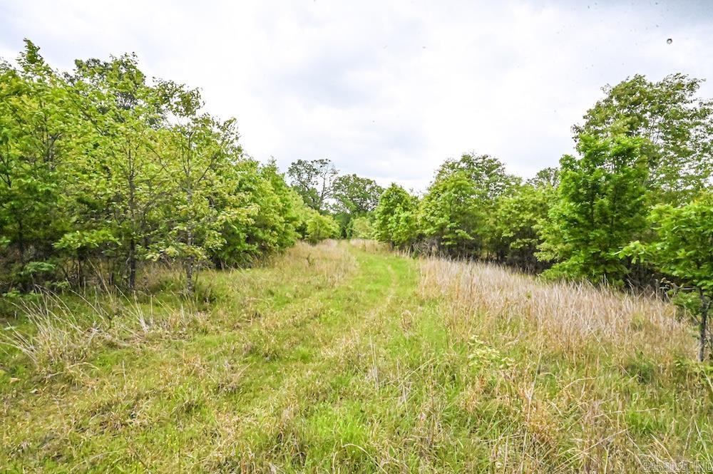 Photo 31 - Vacant Land for sale –   N/A Red Bud Rd   Sturkie, AR