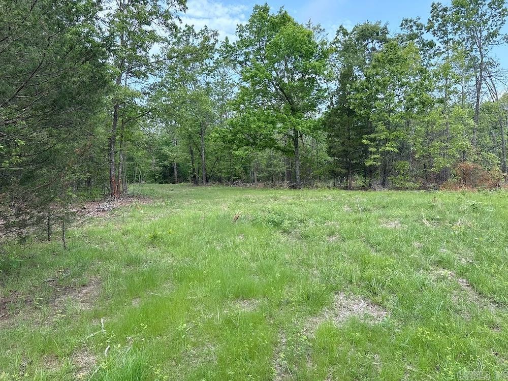 Photo 32 - Vacant Land for sale –   N/A Red Bud Rd   Sturkie, AR