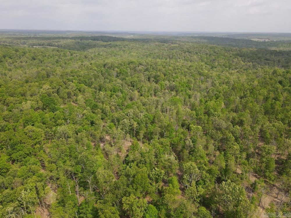 Photo 33 - Vacant Land for sale –   N/A Red Bud Rd   Sturkie, AR