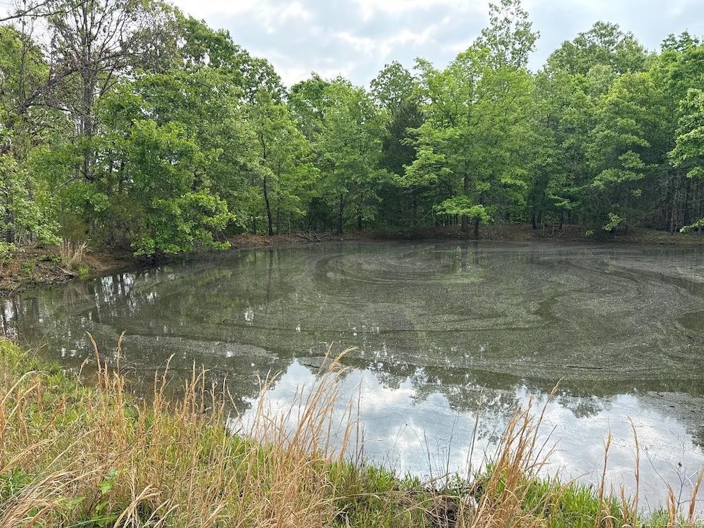 Photo 5 - Vacant Land for sale –   N/A Red Bud Rd   Sturkie, AR