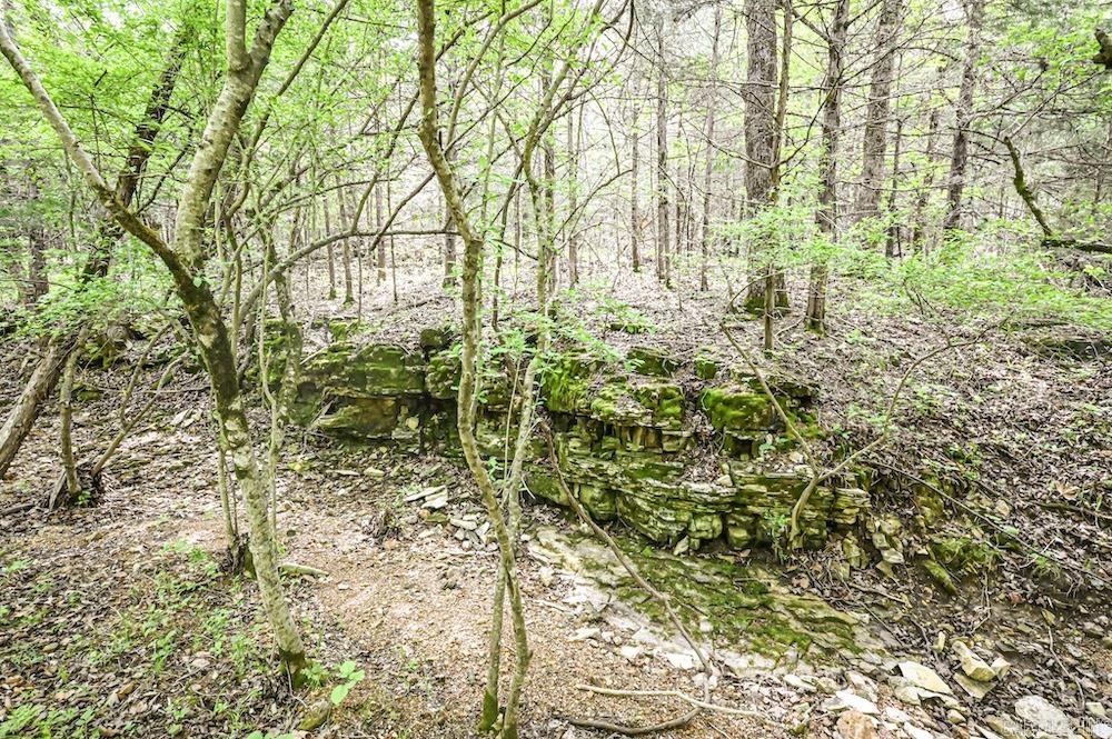 Photo 43 - Vacant Land for sale –   N/A Red Bud Rd   Sturkie, AR