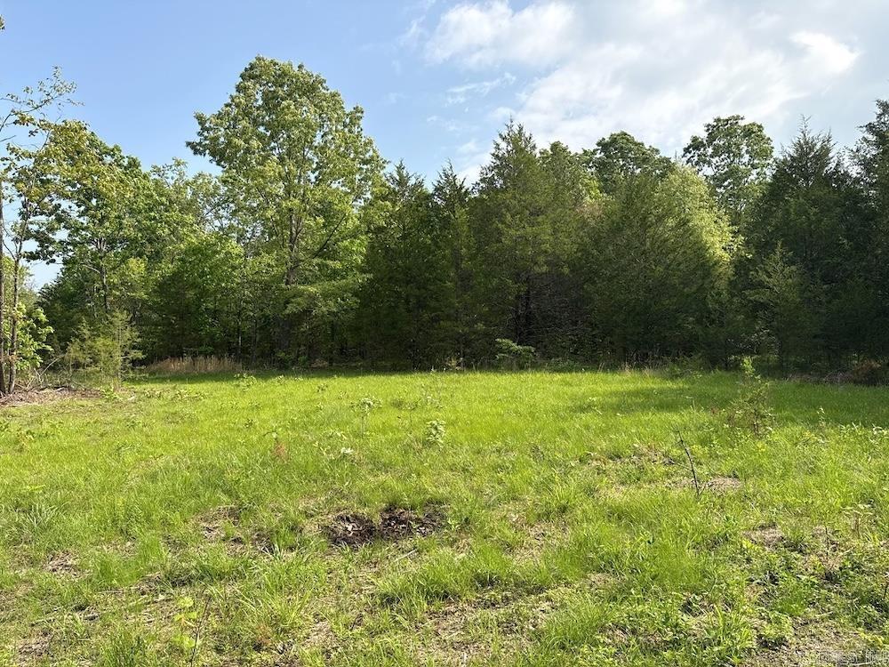 Photo 44 - Vacant Land for sale –   N/A Red Bud Rd   Sturkie, AR