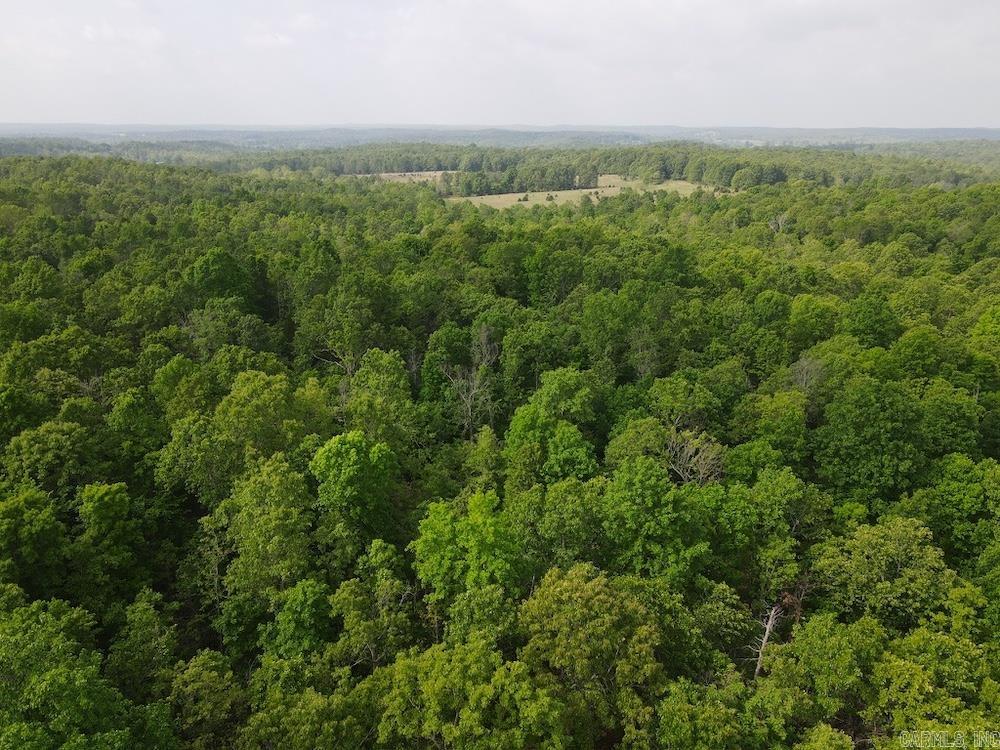 Photo 45 - Vacant Land for sale –   N/A Red Bud Rd   Sturkie, AR