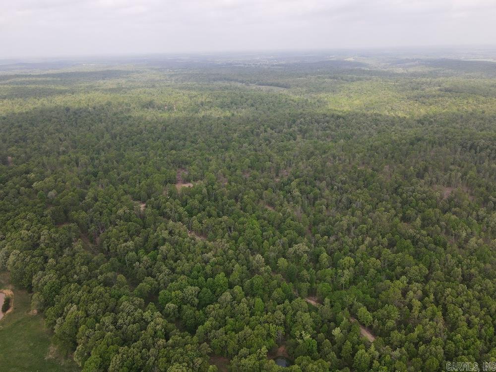 Photo 46 - Vacant Land for sale –   N/A Red Bud Rd   Sturkie, AR