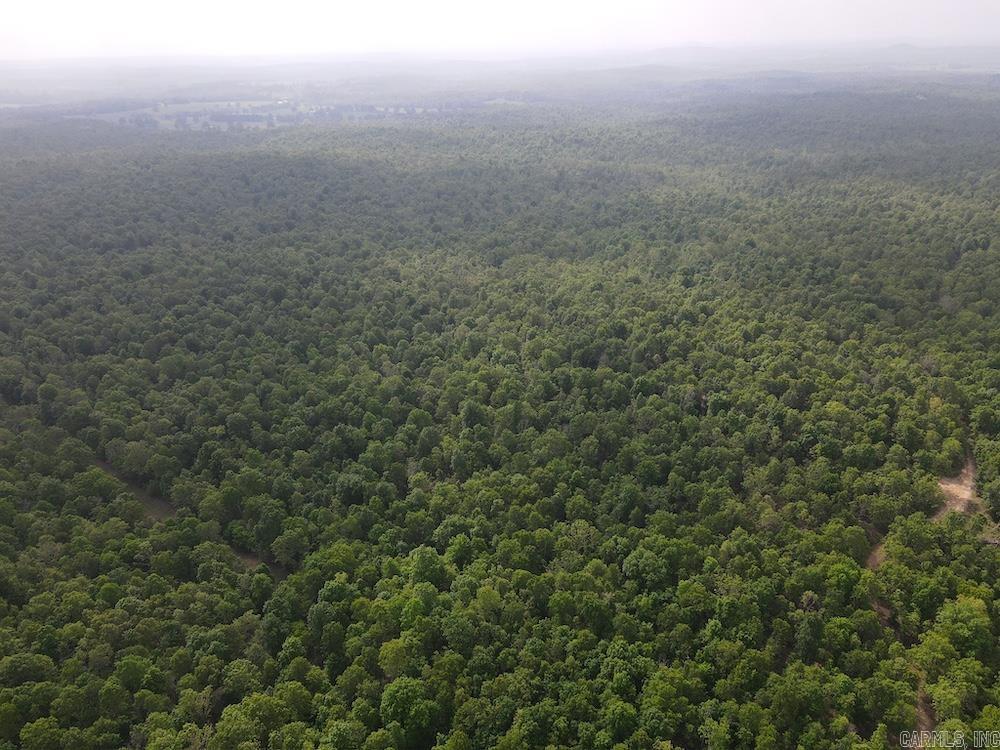Photo 47 - Vacant Land for sale –   N/A Red Bud Rd   Sturkie, AR