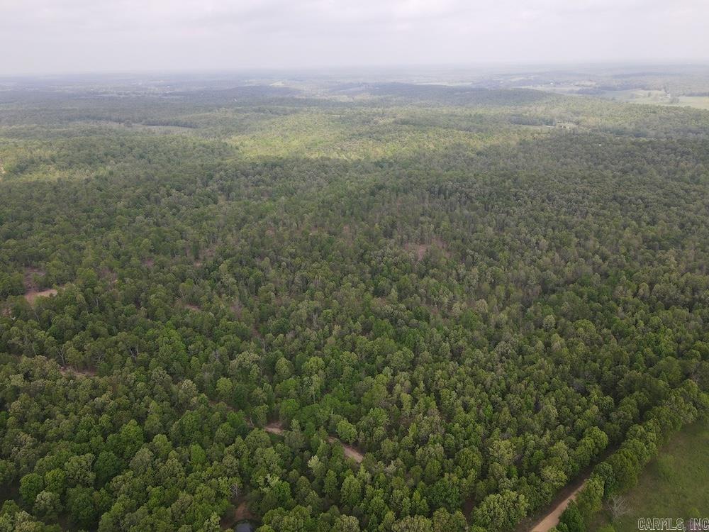 Photo 48 - Vacant Land for sale –   N/A Red Bud Rd   Sturkie, AR
