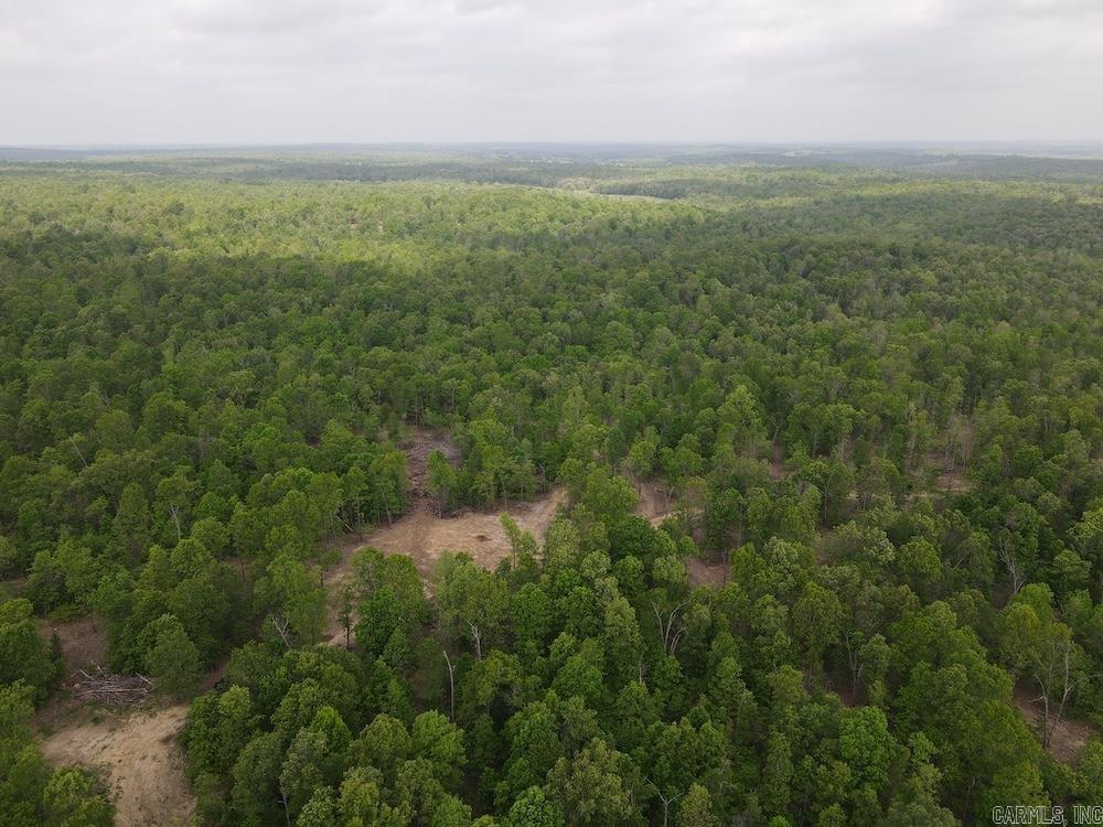 Photo 49 - Vacant Land for sale –   N/A Red Bud Rd   Sturkie, AR