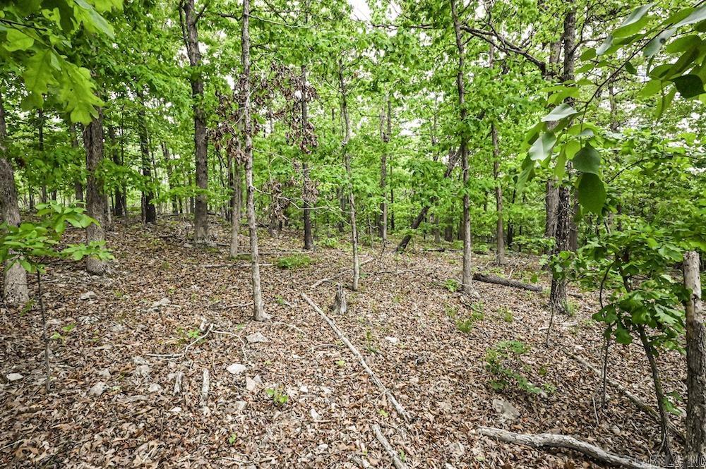 Photo 50 - Vacant Land for sale –   N/A Red Bud Rd   Sturkie, AR
