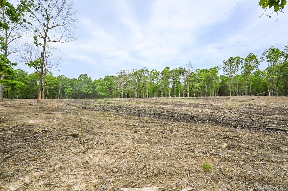 Photo 7 - Vacant Land for sale –   N/A Red Bud Rd   Sturkie, AR
