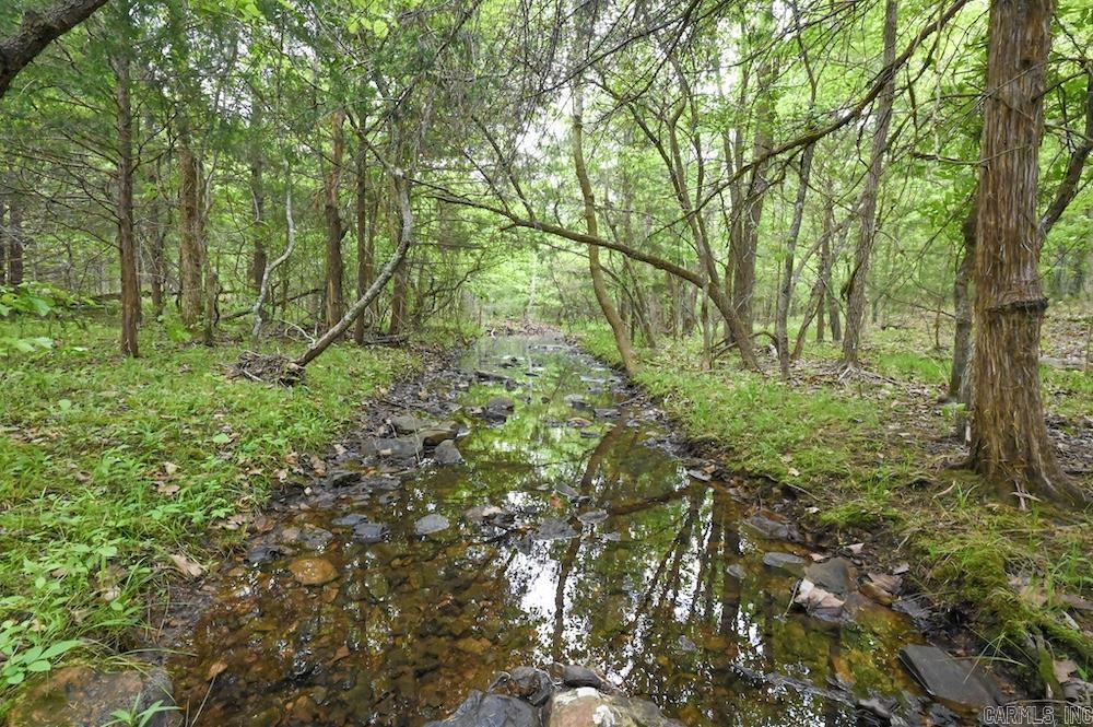 Photo 9 - Vacant Land for sale –   N/A Red Bud Rd   Sturkie, AR