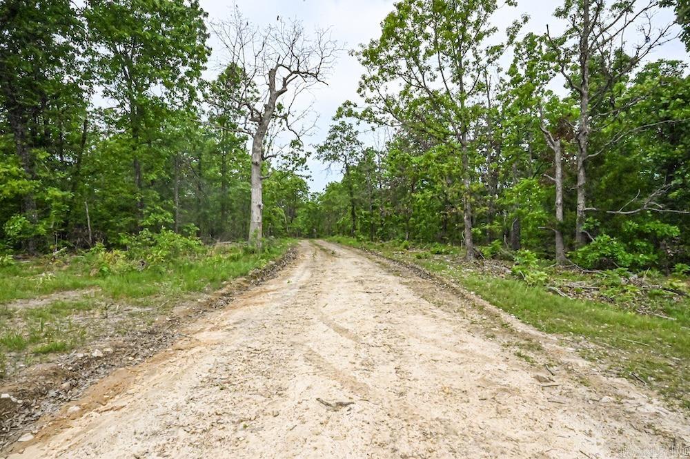 Photo 10 - Vacant Land for sale –   N/A Red Bud Rd   Sturkie, AR