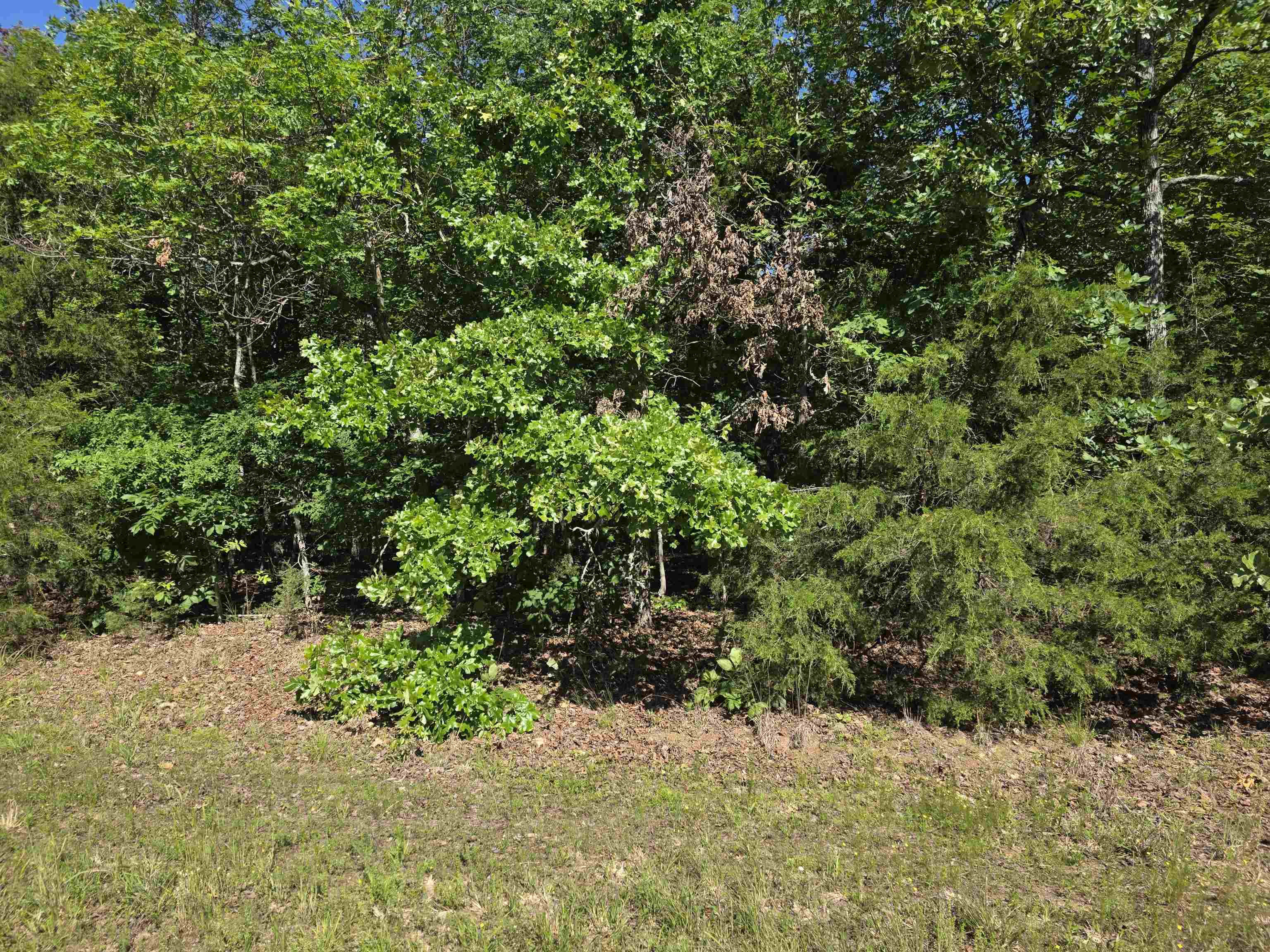 Vacant Land for sale – L-52  Barnes   Evening Shade, AR