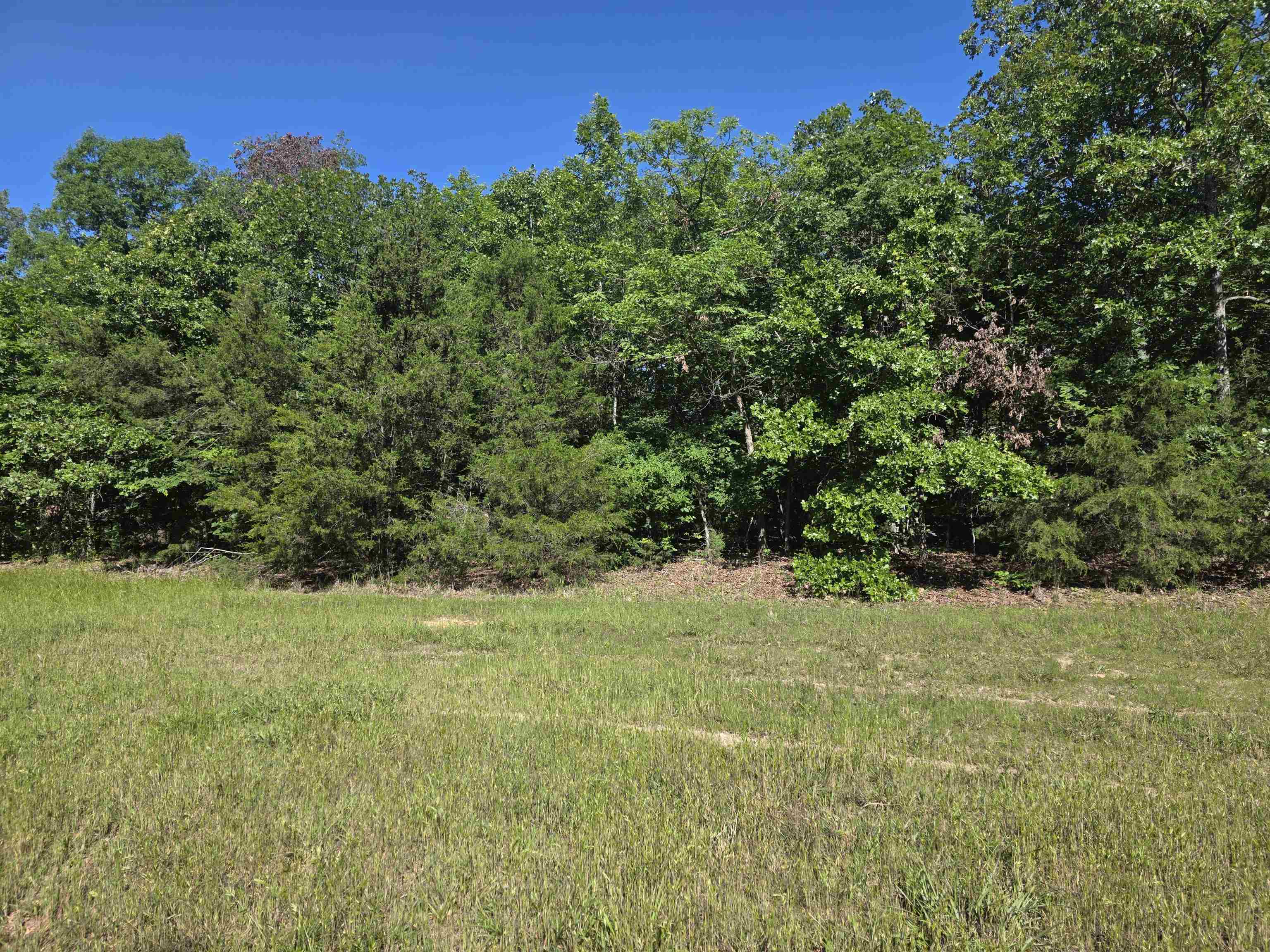Photo 2 - Vacant Land for sale – L-52  Barnes   Evening Shade, AR