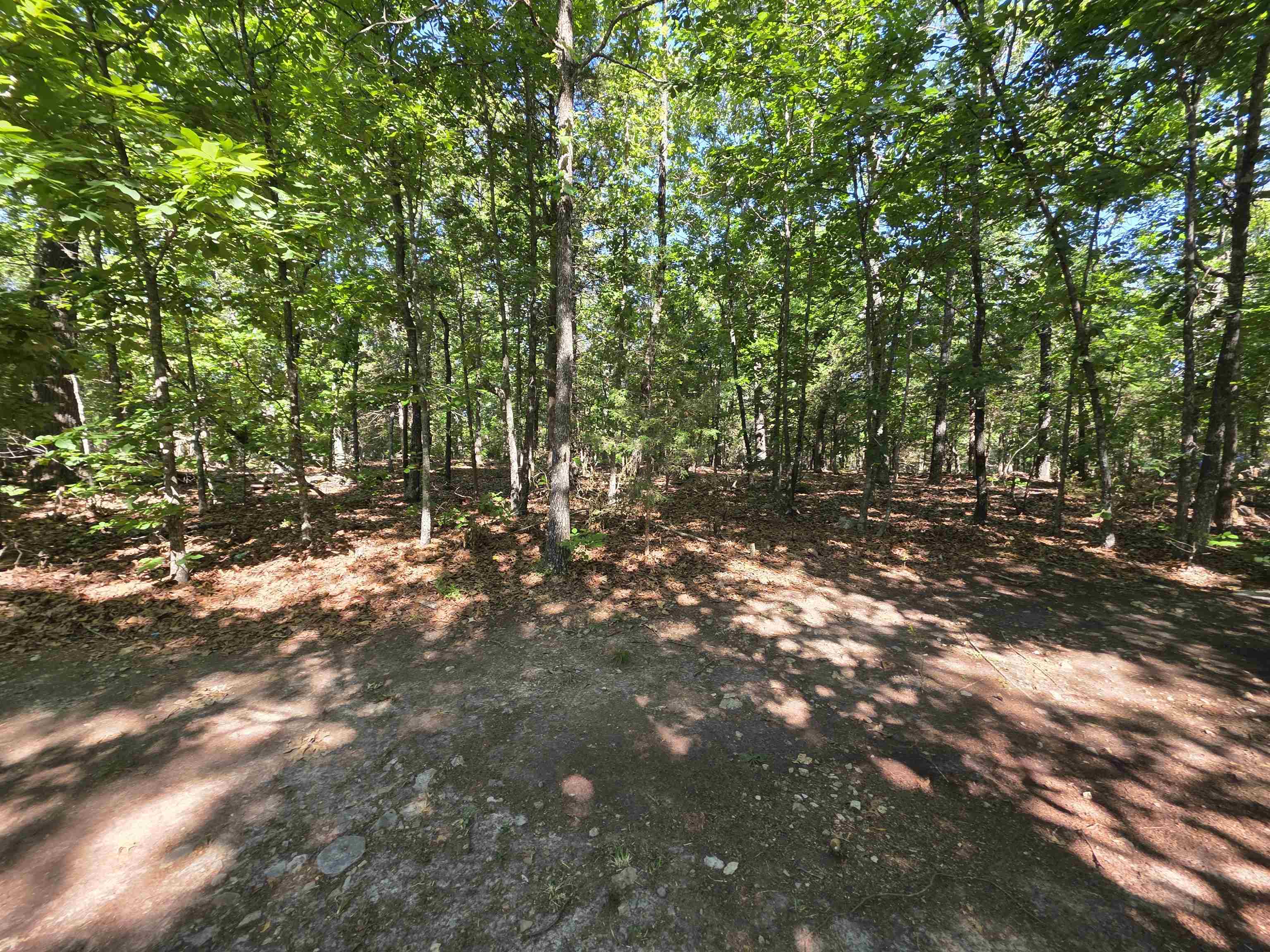 Photo 13 - Vacant Land for sale – L-52  Barnes   Evening Shade, AR