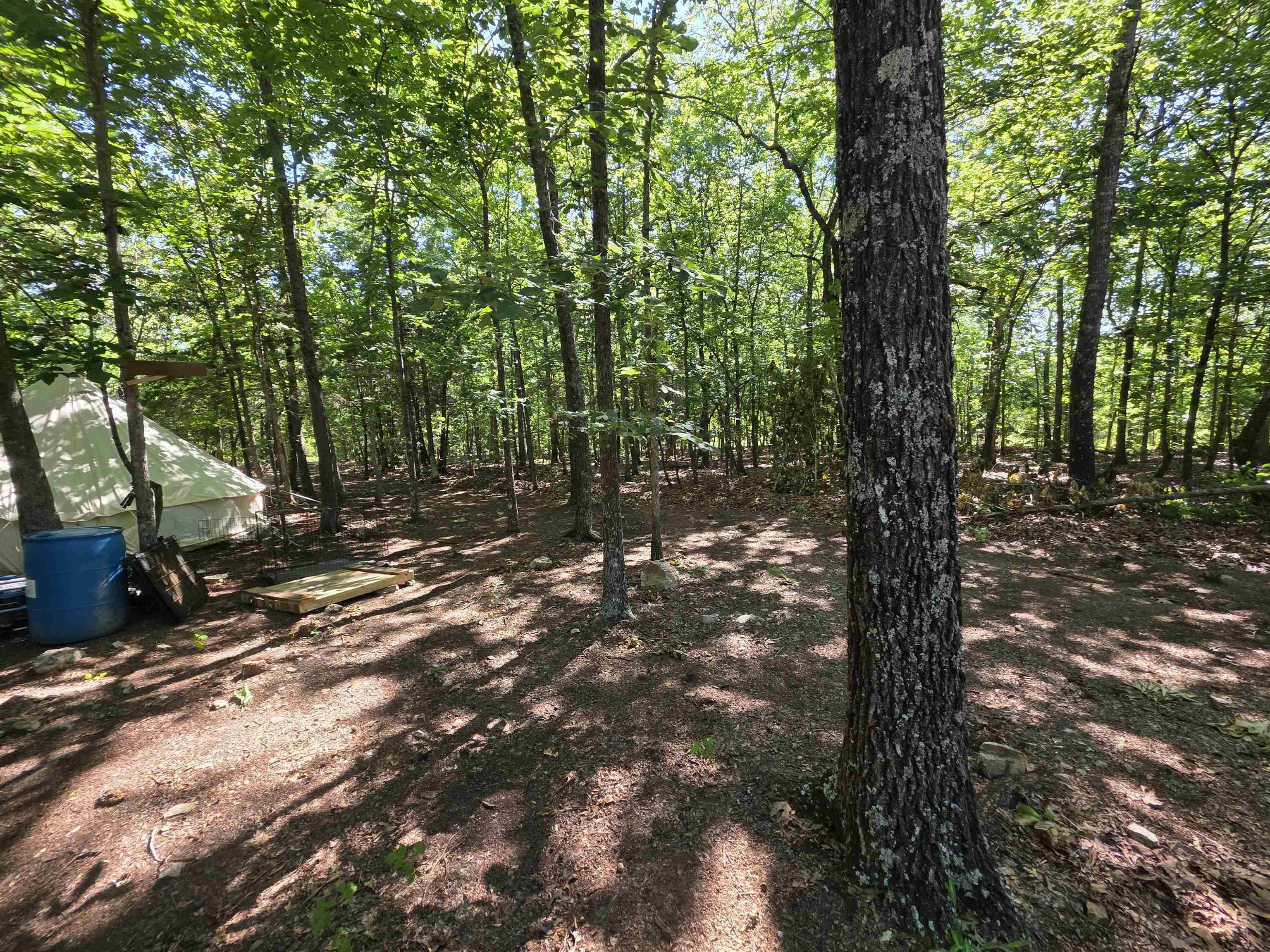 Photo 14 - Vacant Land for sale – L-52  Barnes   Evening Shade, AR
