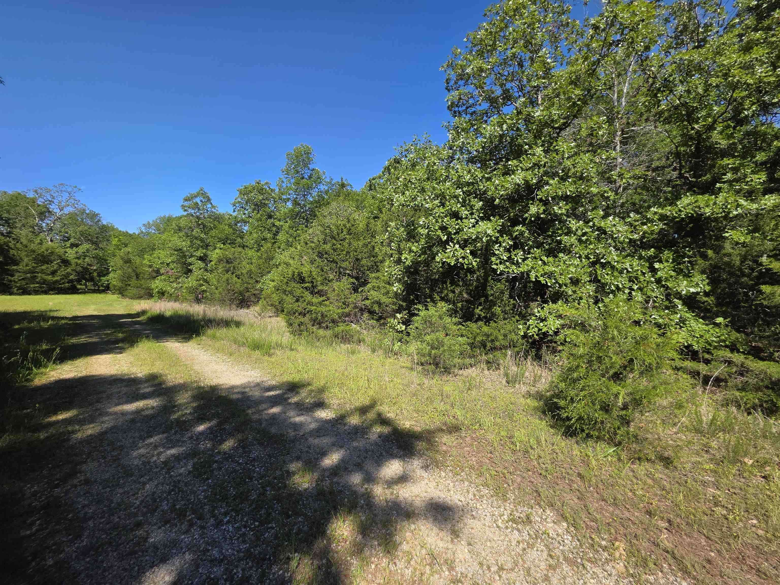 Photo 16 - Vacant Land for sale – L-52  Barnes   Evening Shade, AR