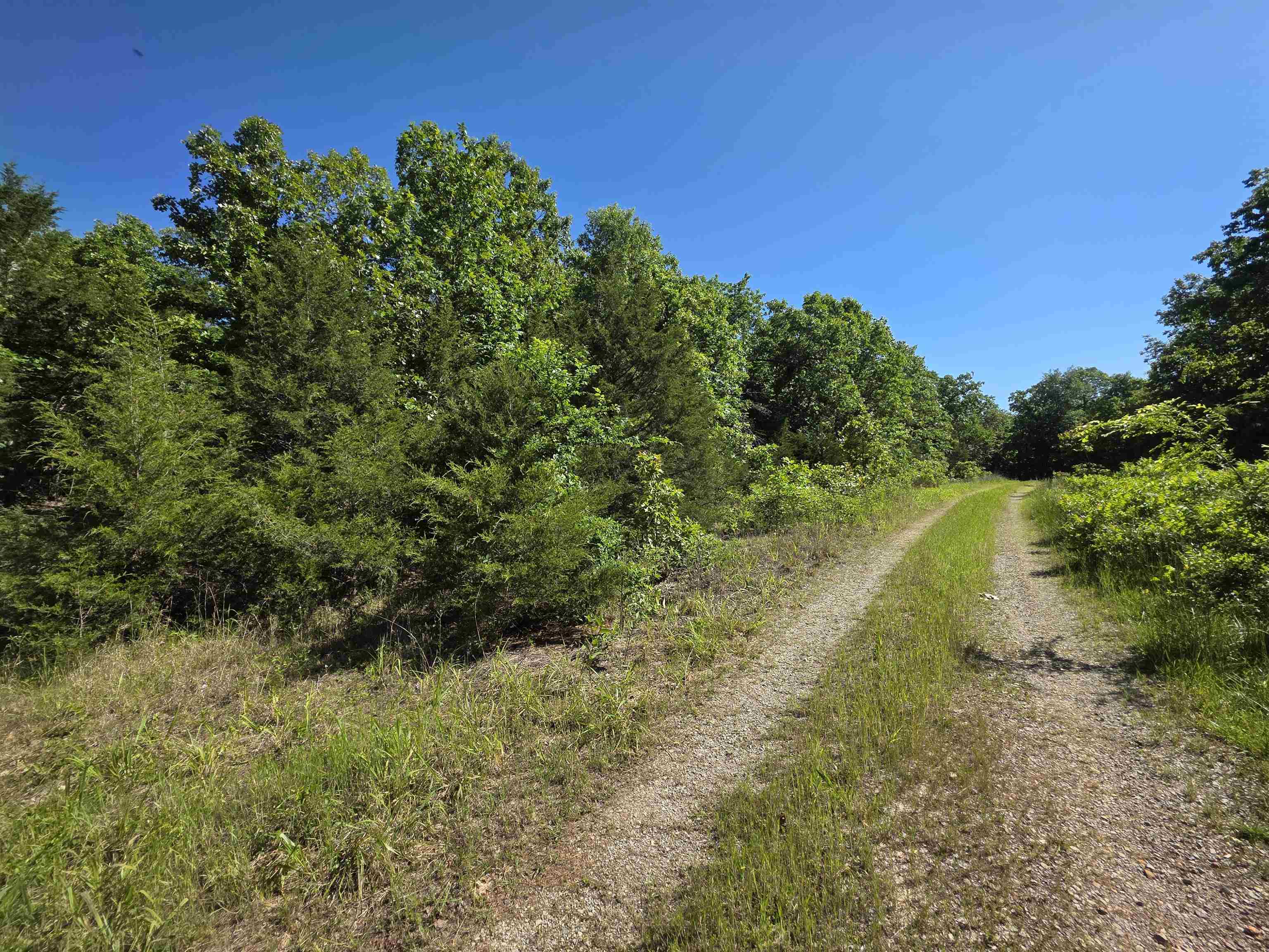 Photo 17 - Vacant Land for sale – L-52  Barnes   Evening Shade, AR