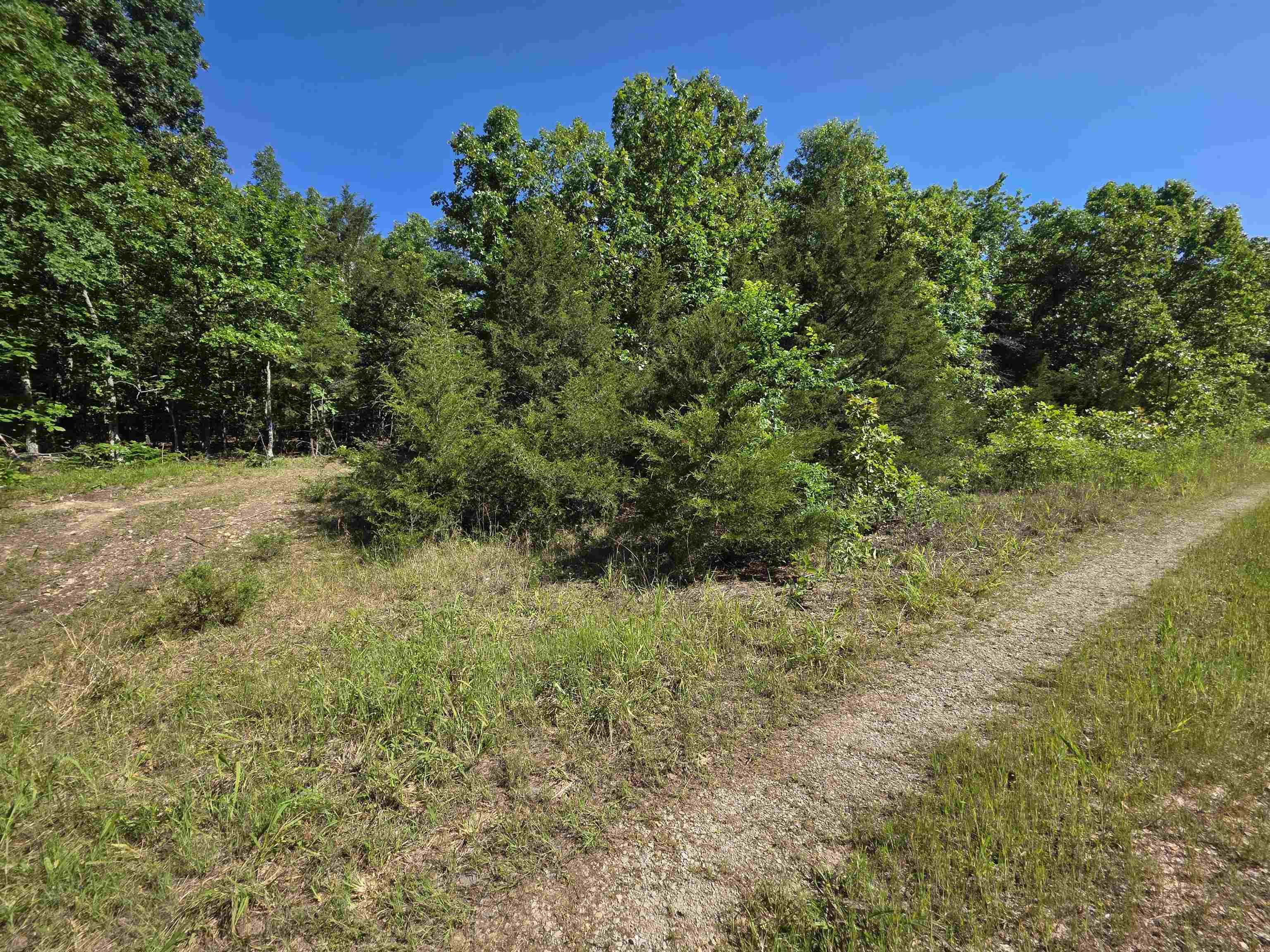 Photo 18 - Vacant Land for sale – L-52  Barnes   Evening Shade, AR