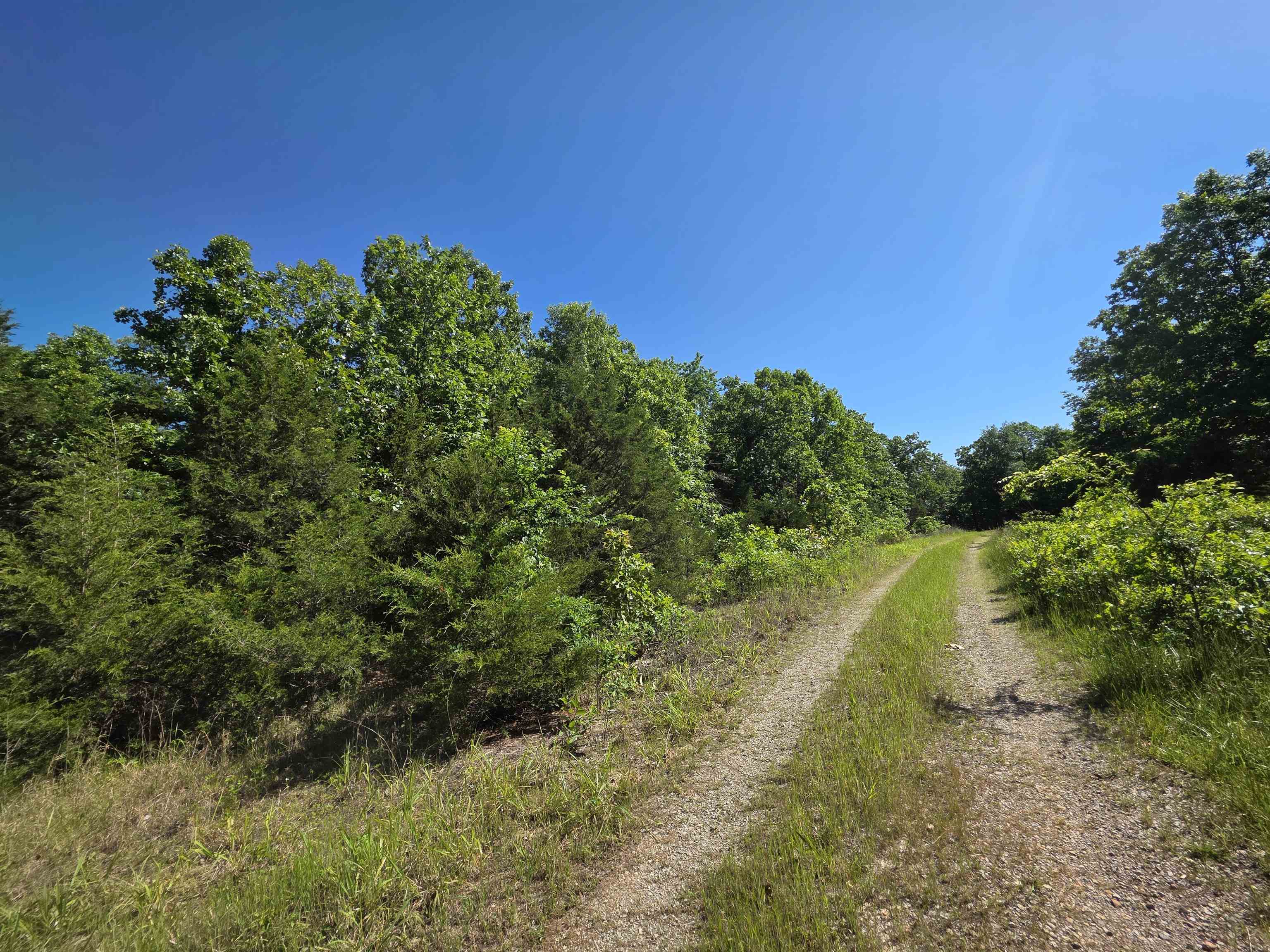 Photo 19 - Vacant Land for sale – L-52  Barnes   Evening Shade, AR