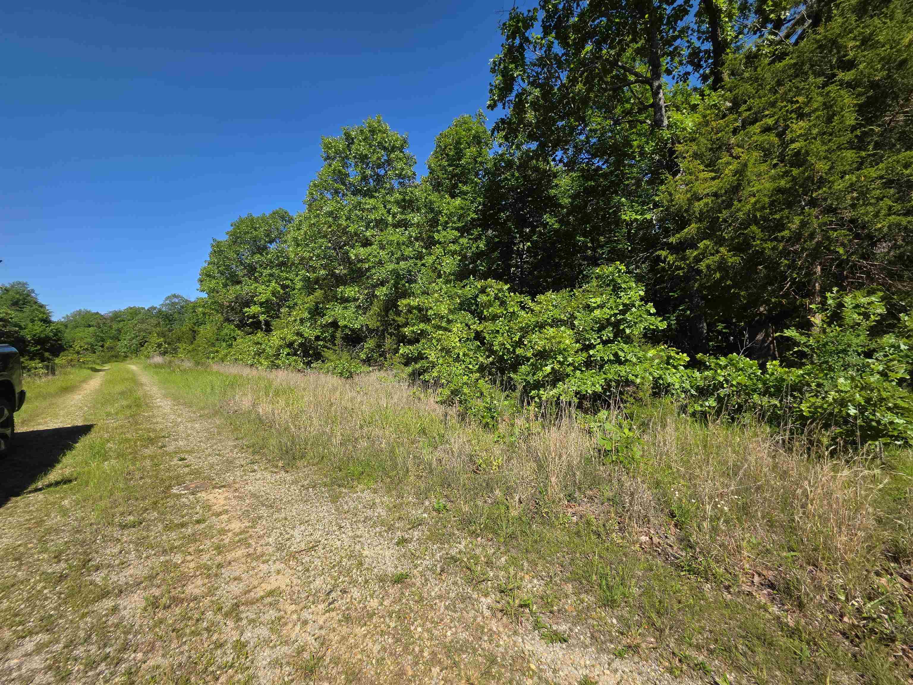Photo 20 - Vacant Land for sale – L-52  Barnes   Evening Shade, AR