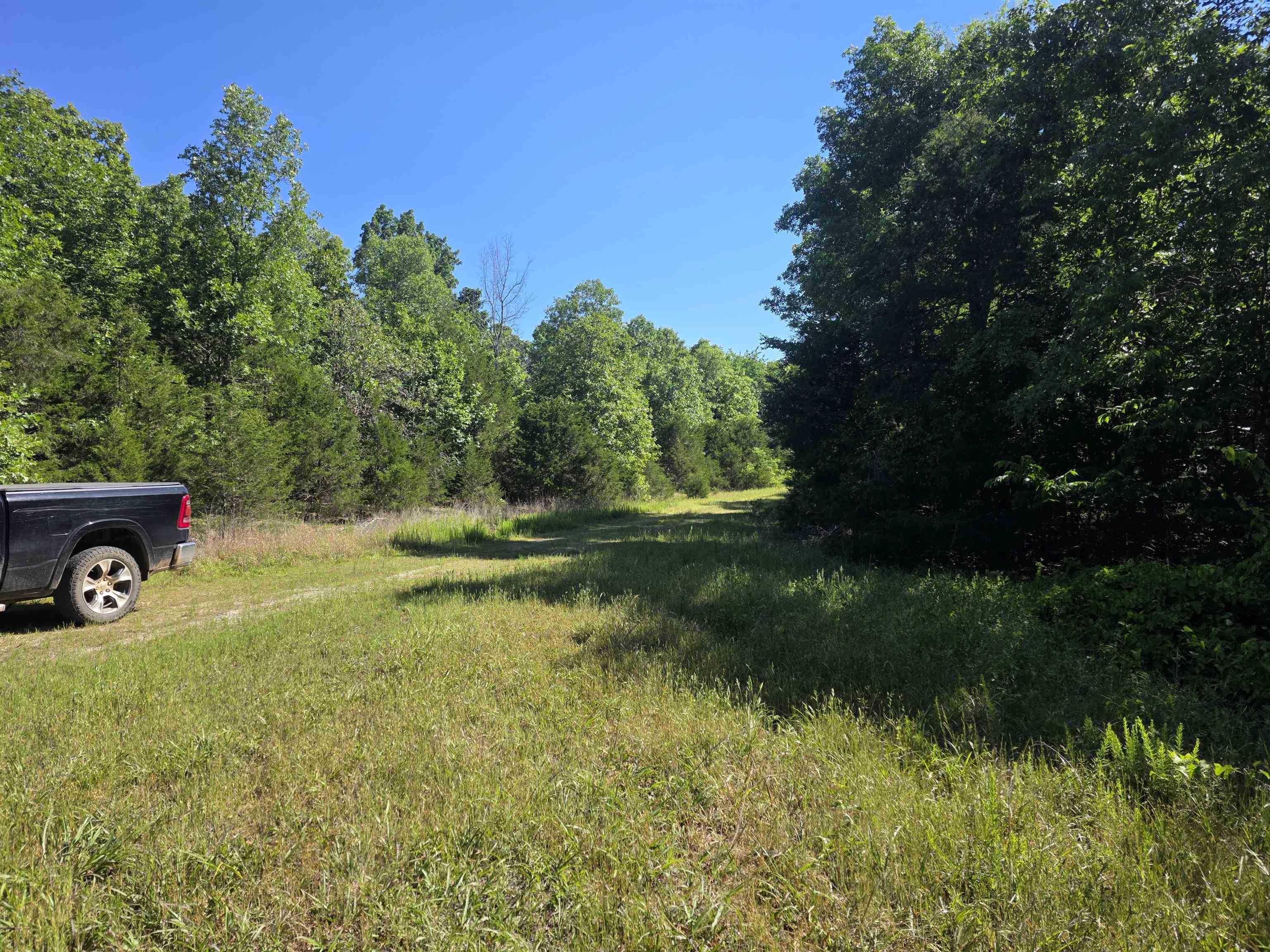 Photo 3 - Vacant Land for sale – L-52  Barnes   Evening Shade, AR