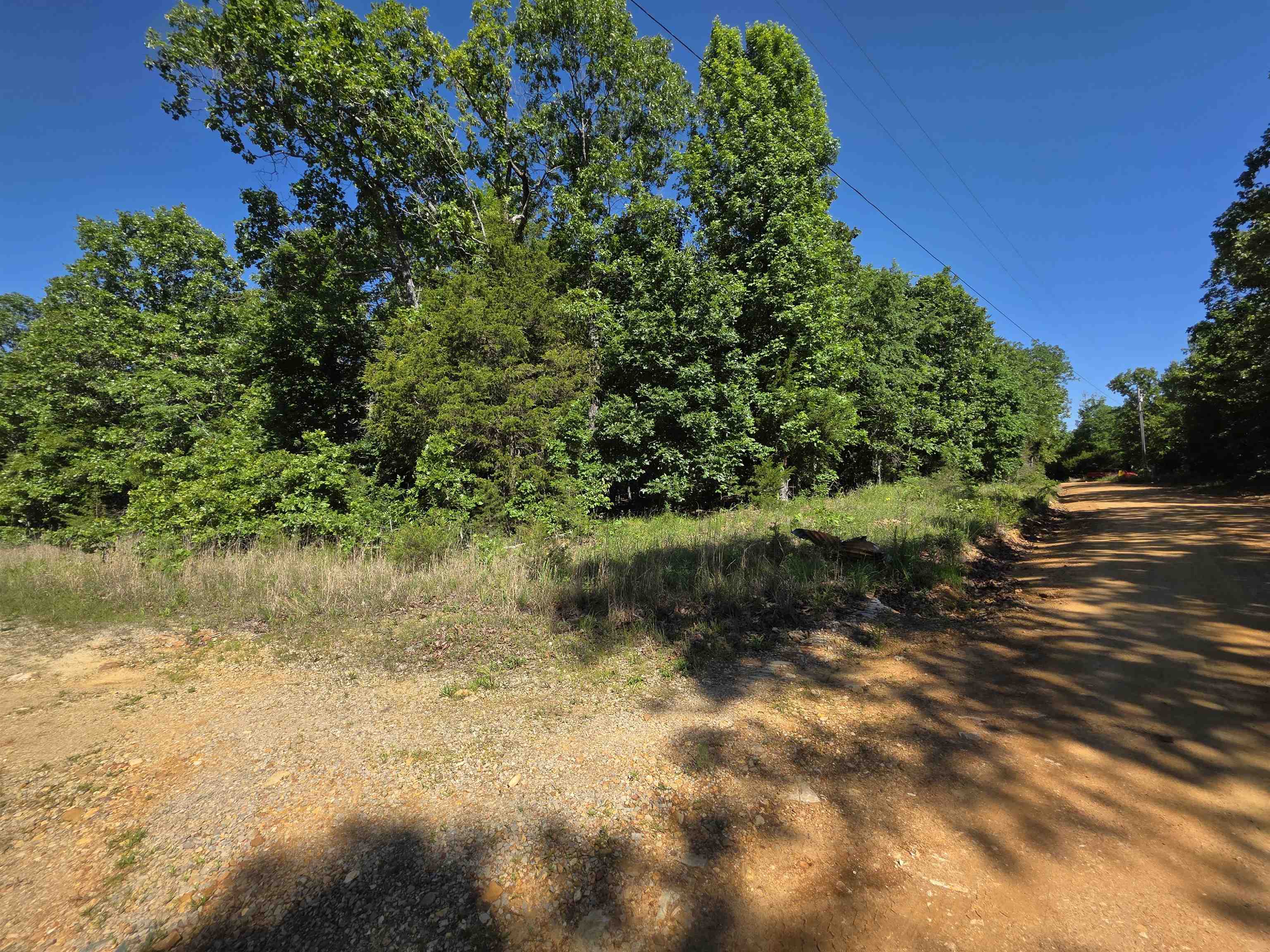 Photo 21 - Vacant Land for sale – L-52  Barnes   Evening Shade, AR