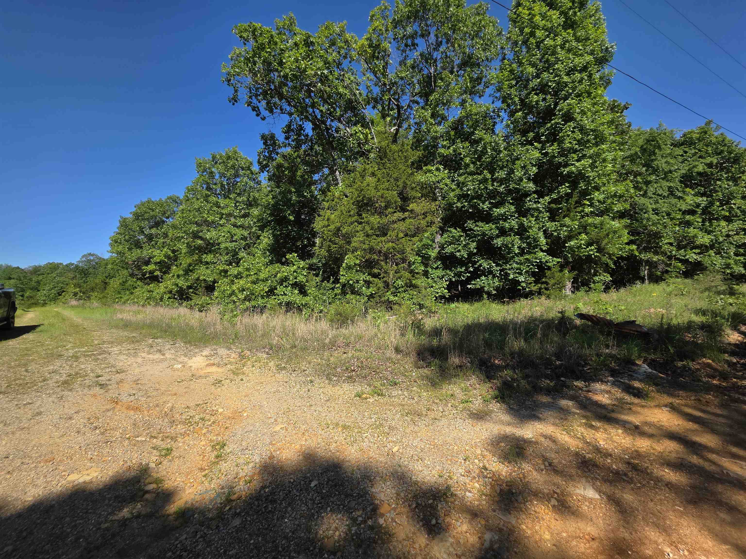 Photo 22 - Vacant Land for sale – L-52  Barnes   Evening Shade, AR