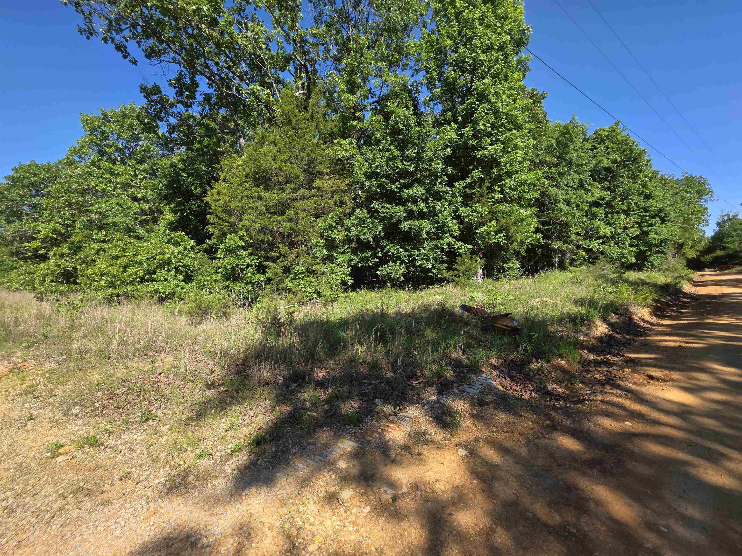 Photo 23 - Vacant Land for sale – L-52  Barnes   Evening Shade, AR