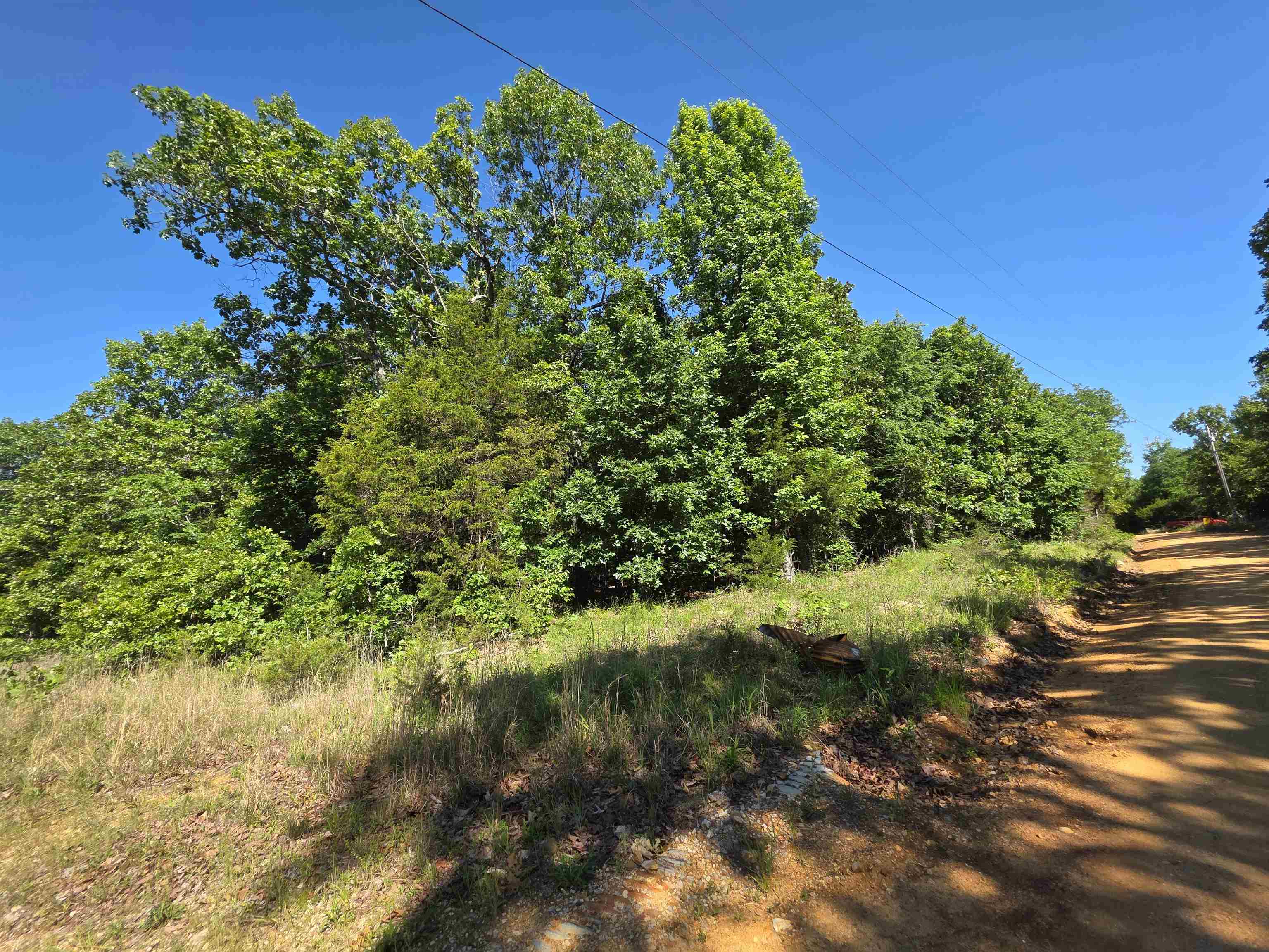 Photo 24 - Vacant Land for sale – L-52  Barnes   Evening Shade, AR