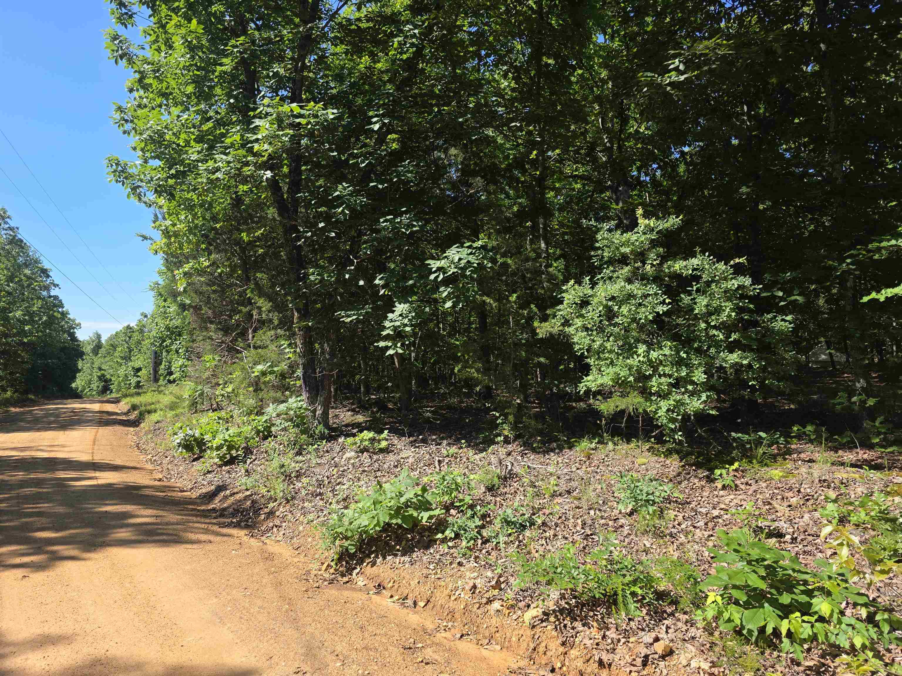 Photo 25 - Vacant Land for sale – L-52  Barnes   Evening Shade, AR
