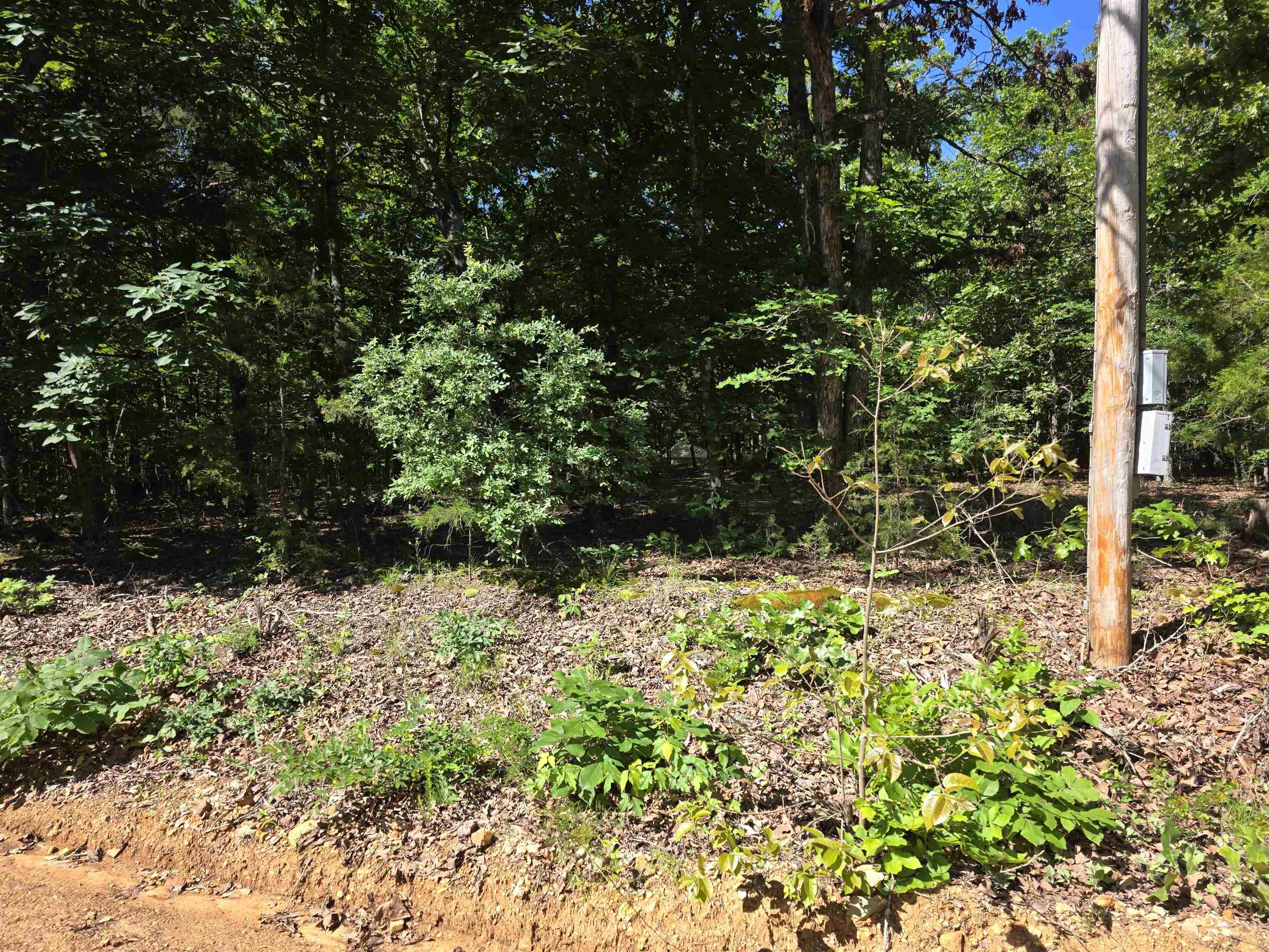 Photo 26 - Vacant Land for sale – L-52  Barnes   Evening Shade, AR