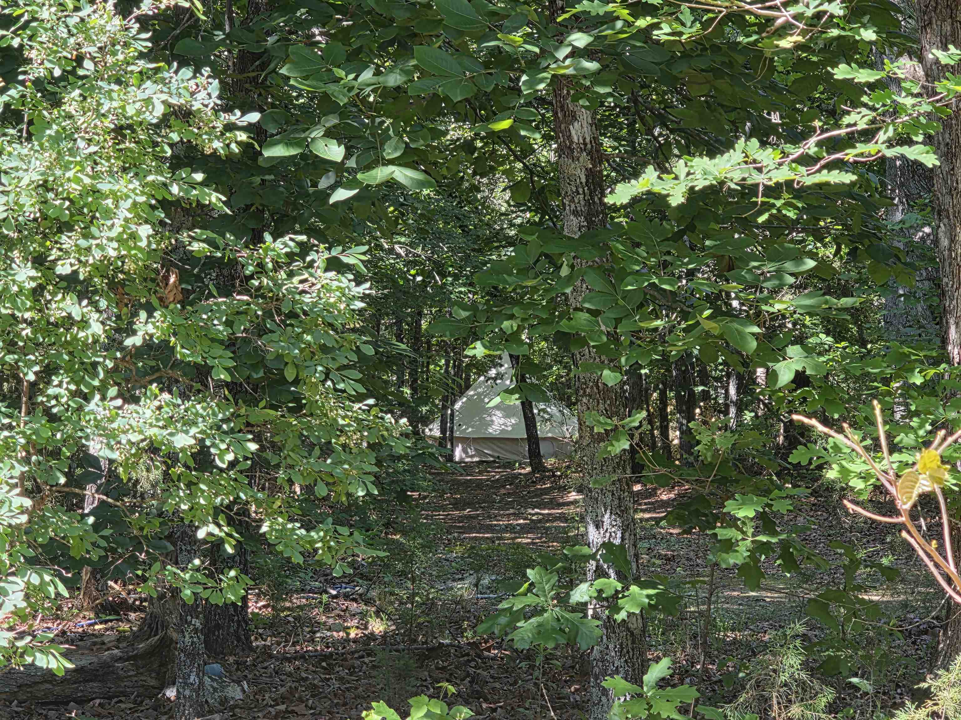 Photo 27 - Vacant Land for sale – L-52  Barnes   Evening Shade, AR