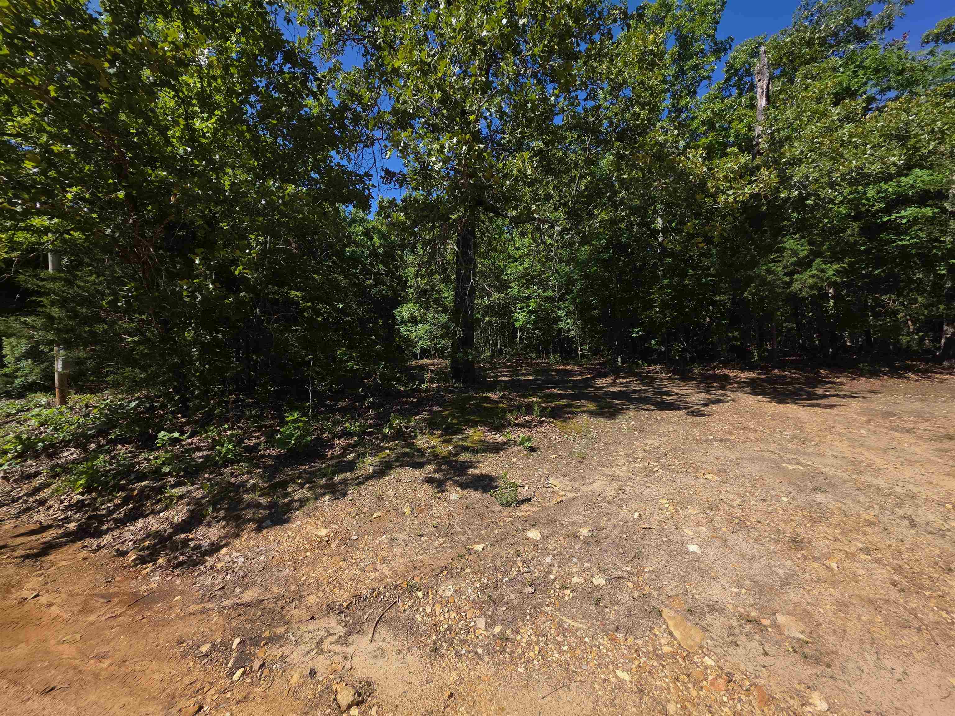 Photo 28 - Vacant Land for sale – L-52  Barnes   Evening Shade, AR
