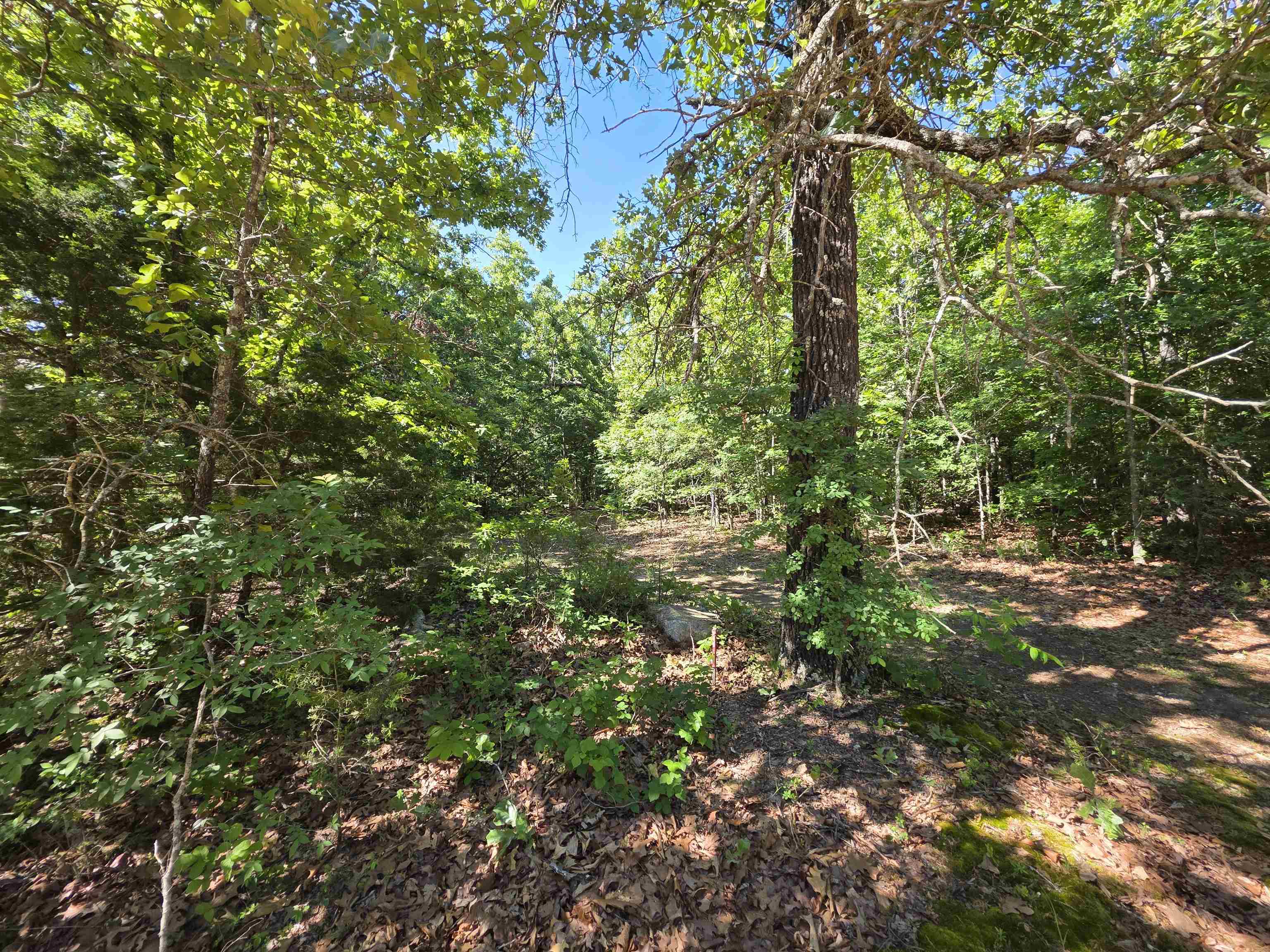 Photo 30 - Vacant Land for sale – L-52  Barnes   Evening Shade, AR