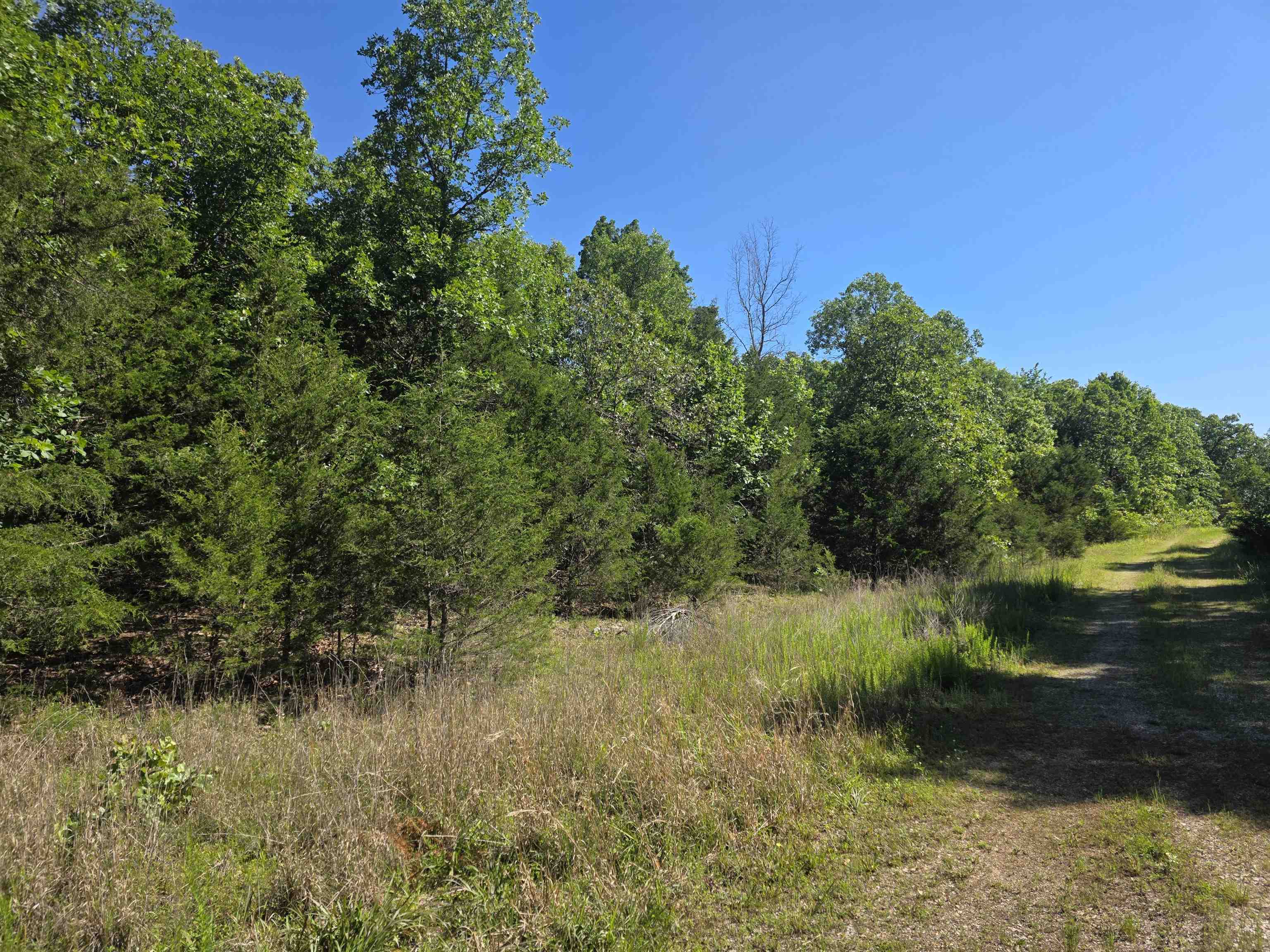 Photo 4 - Vacant Land for sale – L-52  Barnes   Evening Shade, AR