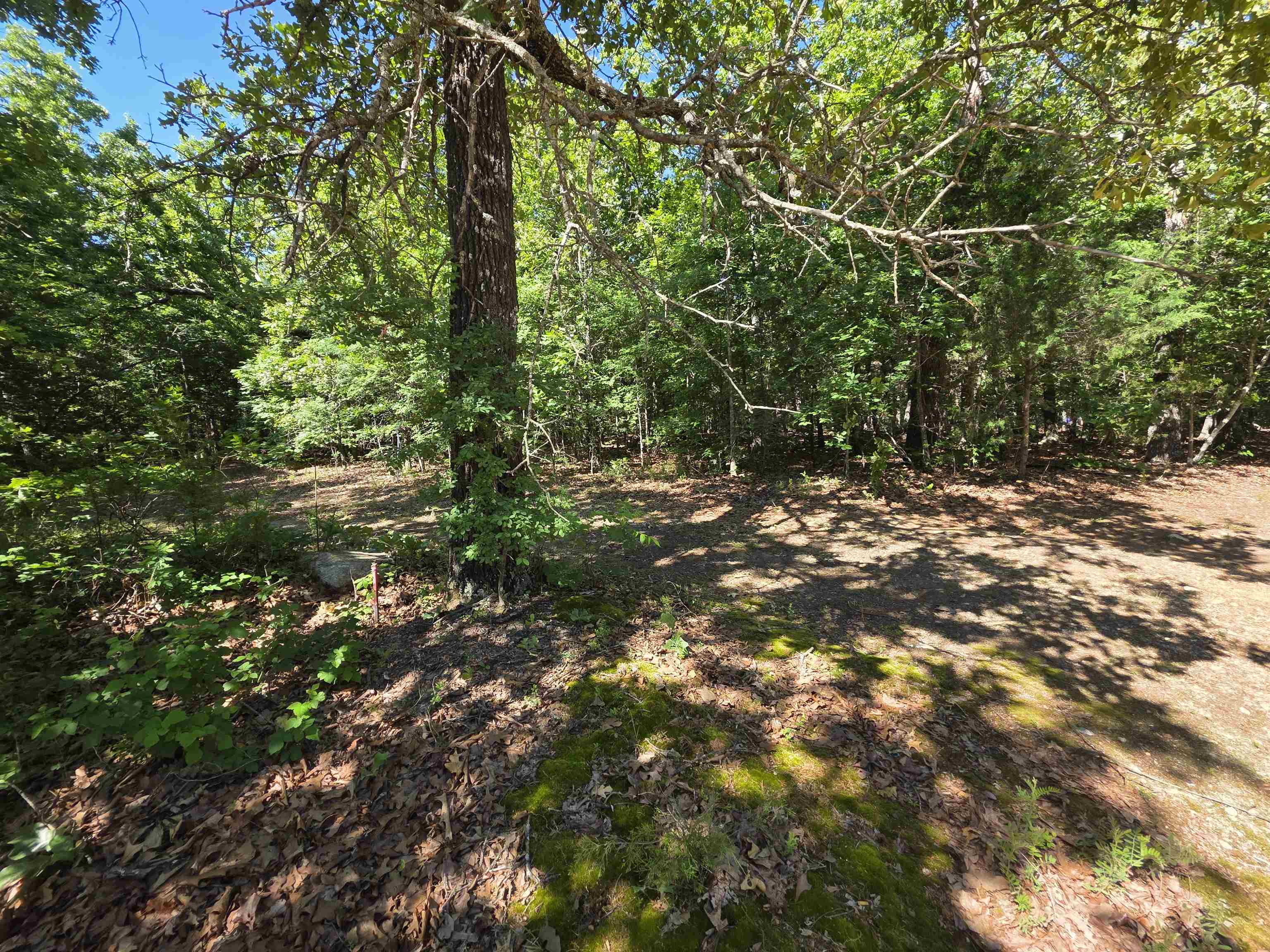 Photo 31 - Vacant Land for sale – L-52  Barnes   Evening Shade, AR