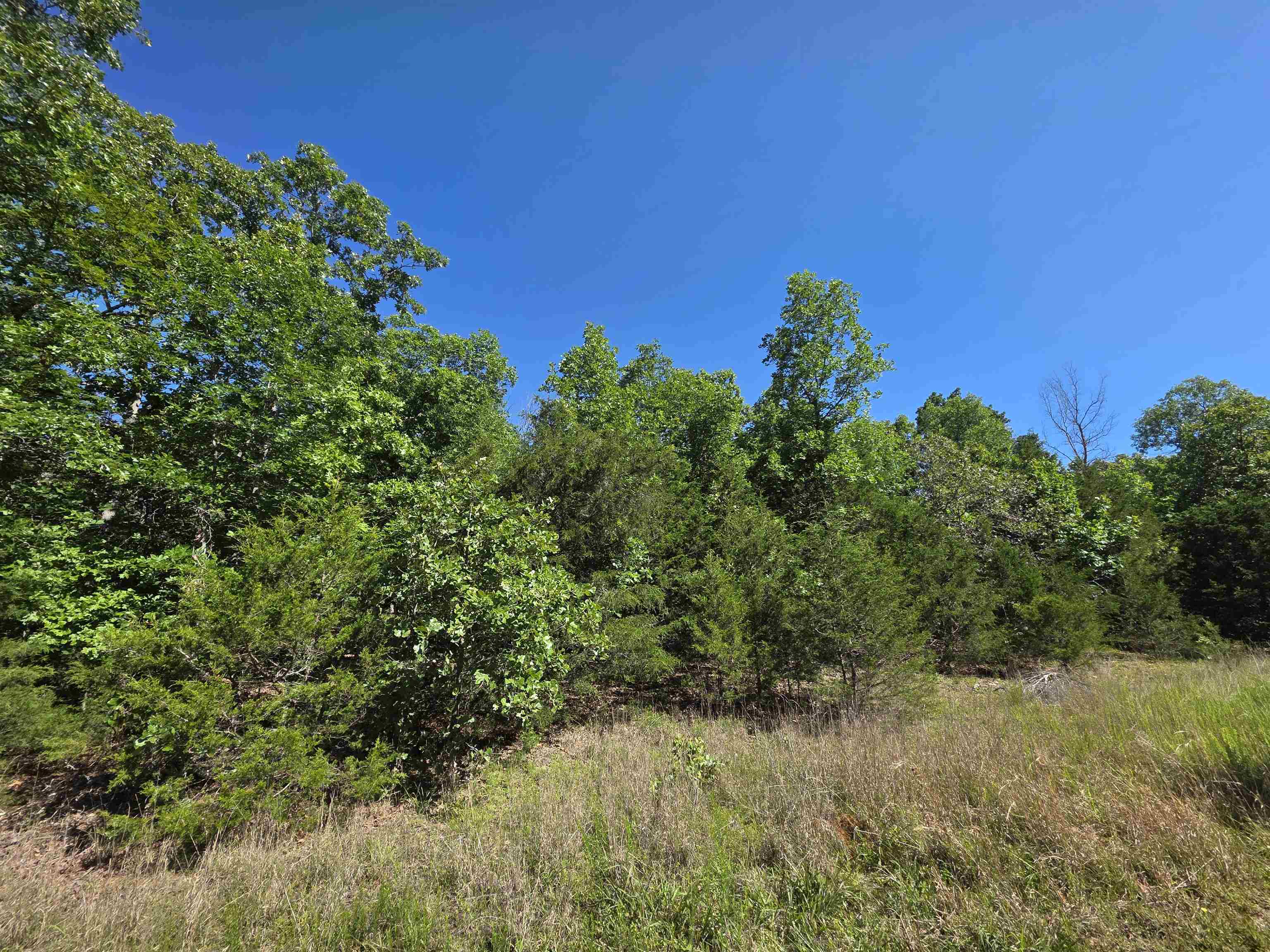 Photo 5 - Vacant Land for sale – L-52  Barnes   Evening Shade, AR