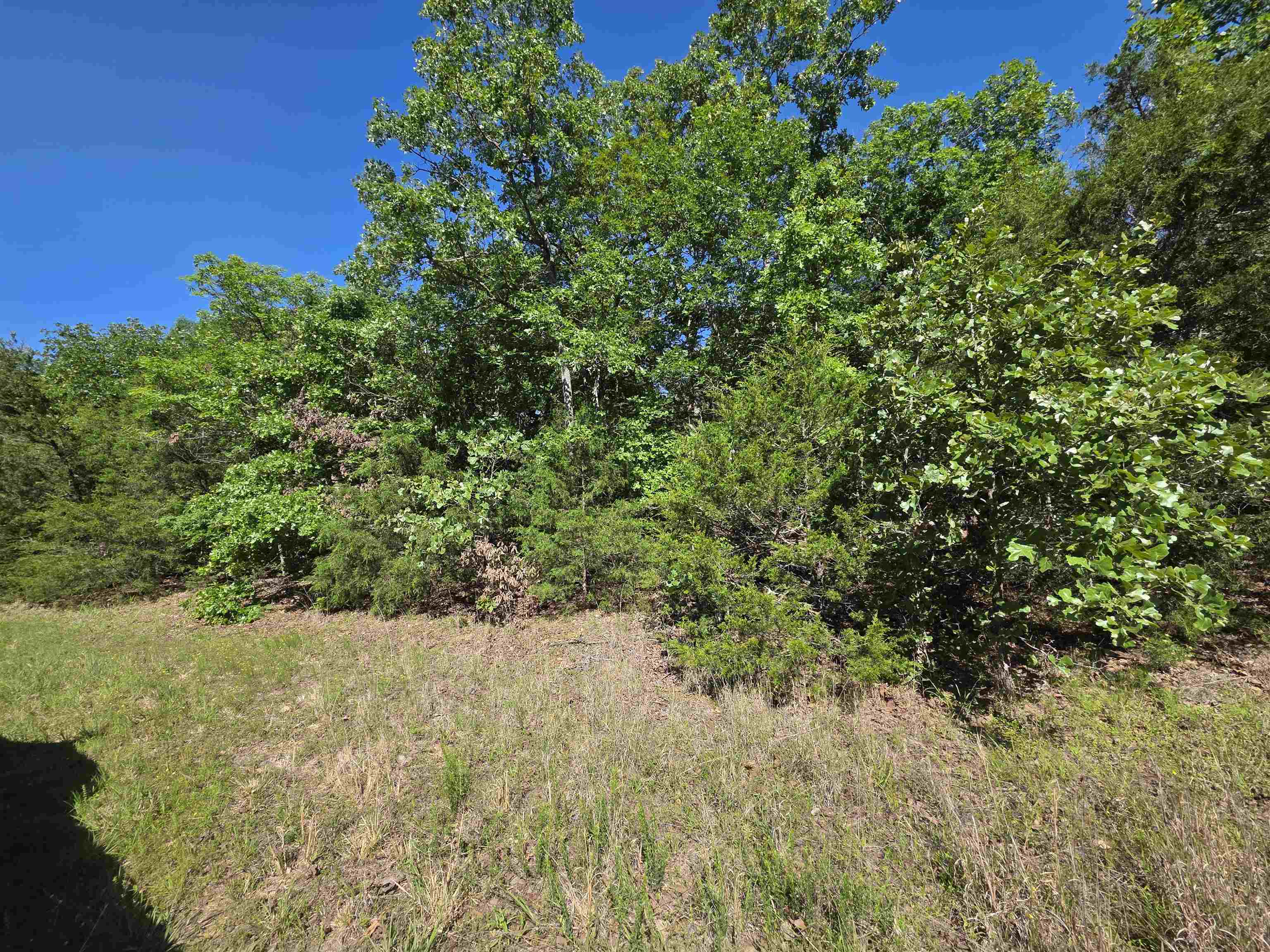 Photo 6 - Vacant Land for sale – L-52  Barnes   Evening Shade, AR