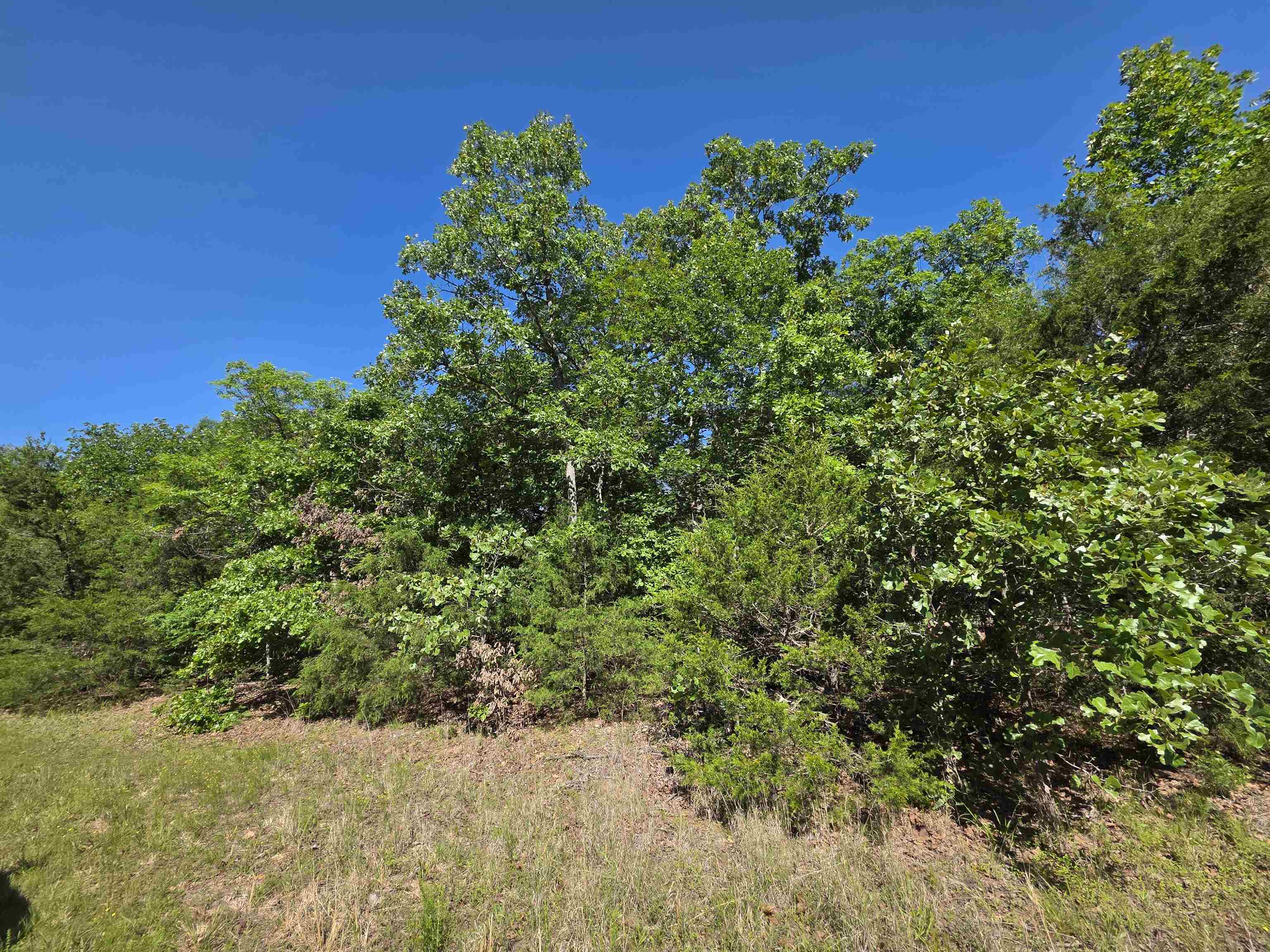 Photo 7 - Vacant Land for sale – L-52  Barnes   Evening Shade, AR