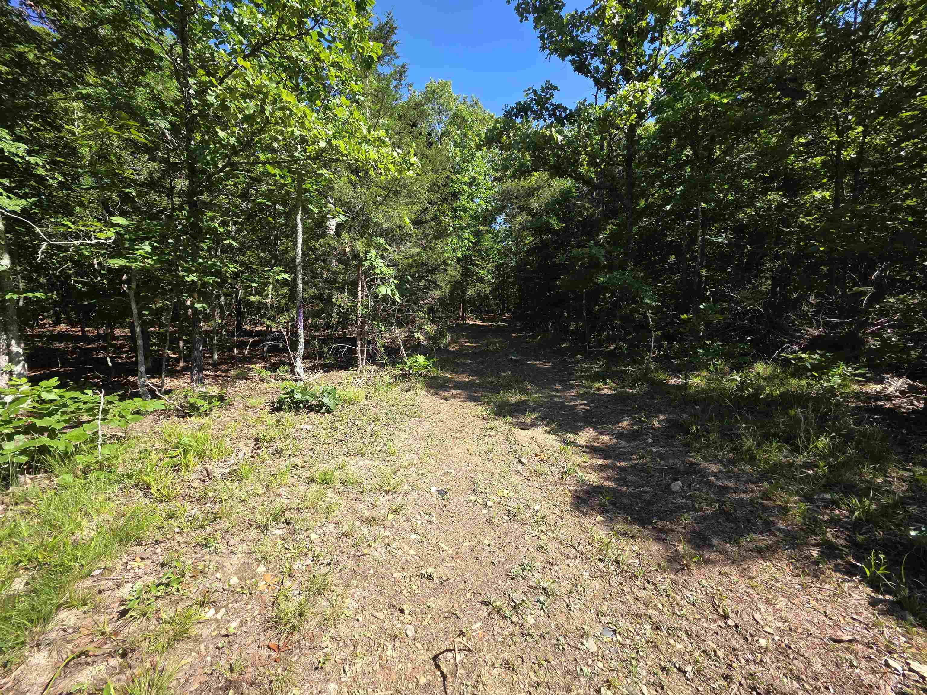 Photo 8 - Vacant Land for sale – L-52  Barnes   Evening Shade, AR