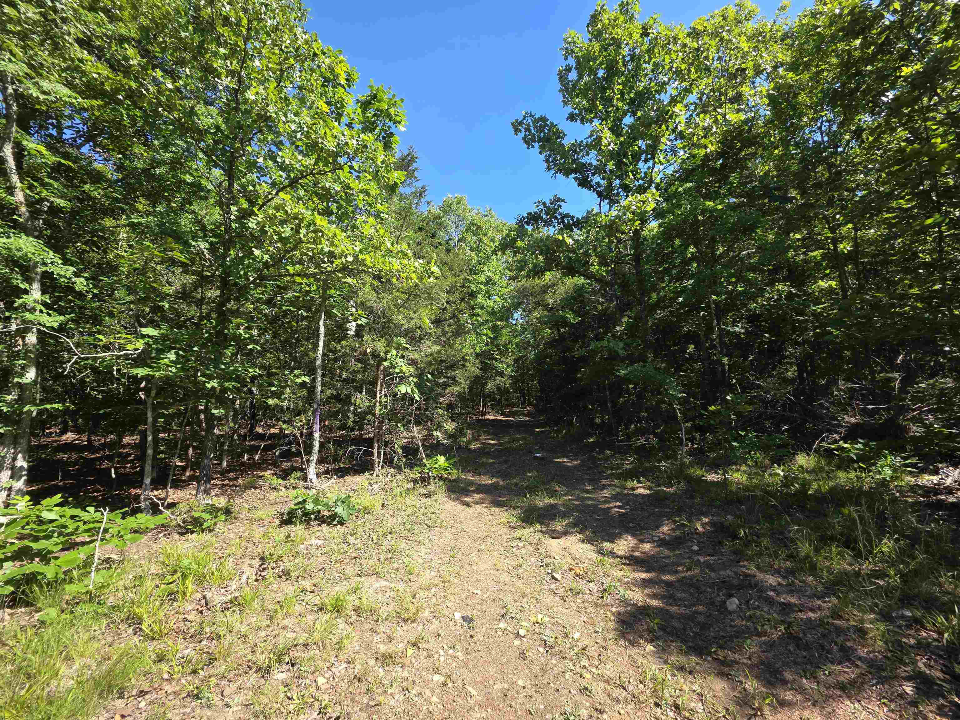 Photo 10 - Vacant Land for sale – L-52  Barnes   Evening Shade, AR