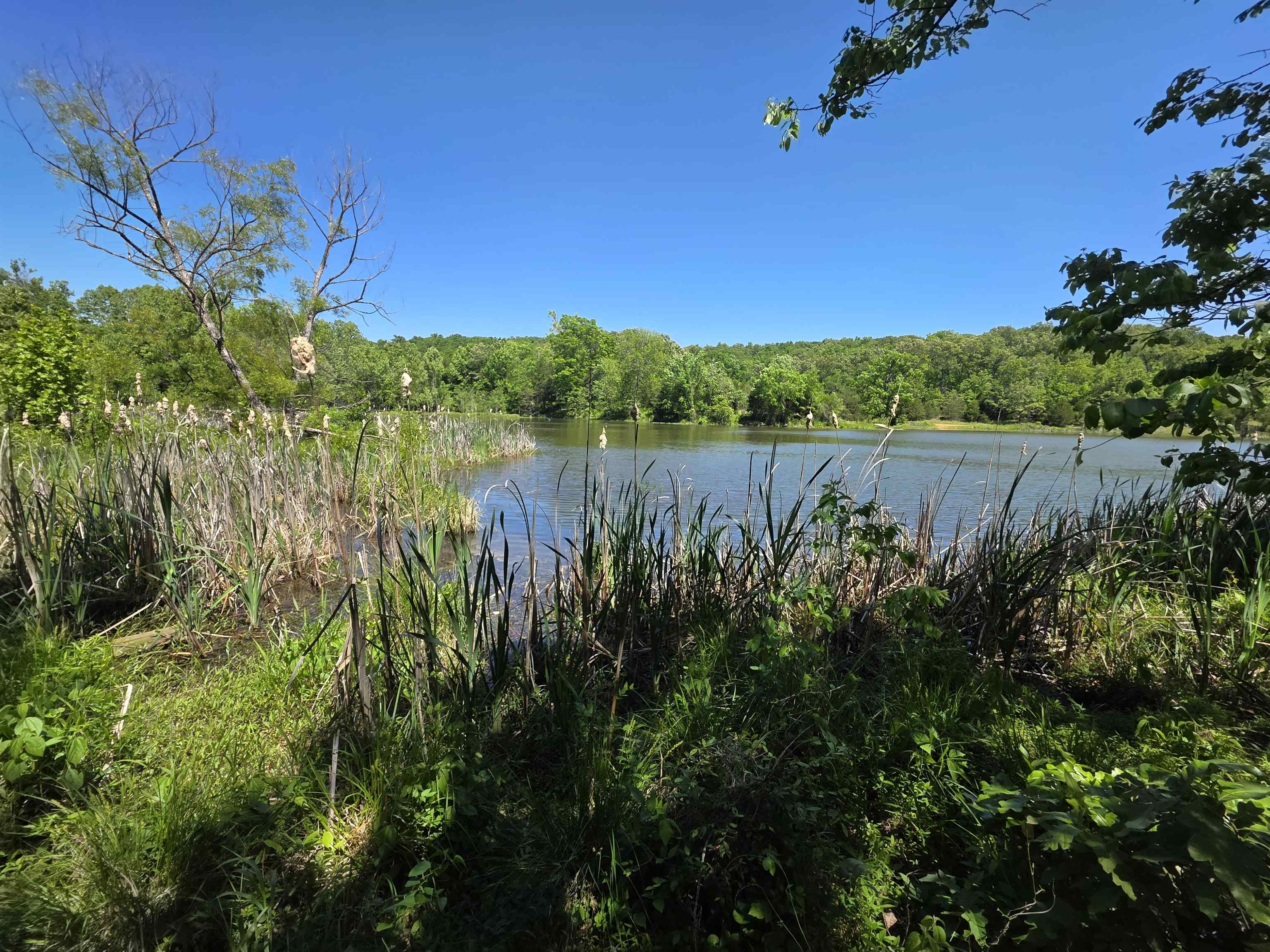 Photo 2 - Vacant Land for sale – L43, 44  White Horse Mountain   Hardy, AR